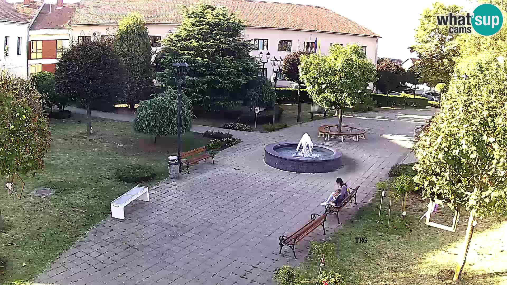 Čazma – Čazmanskog Kaptola square