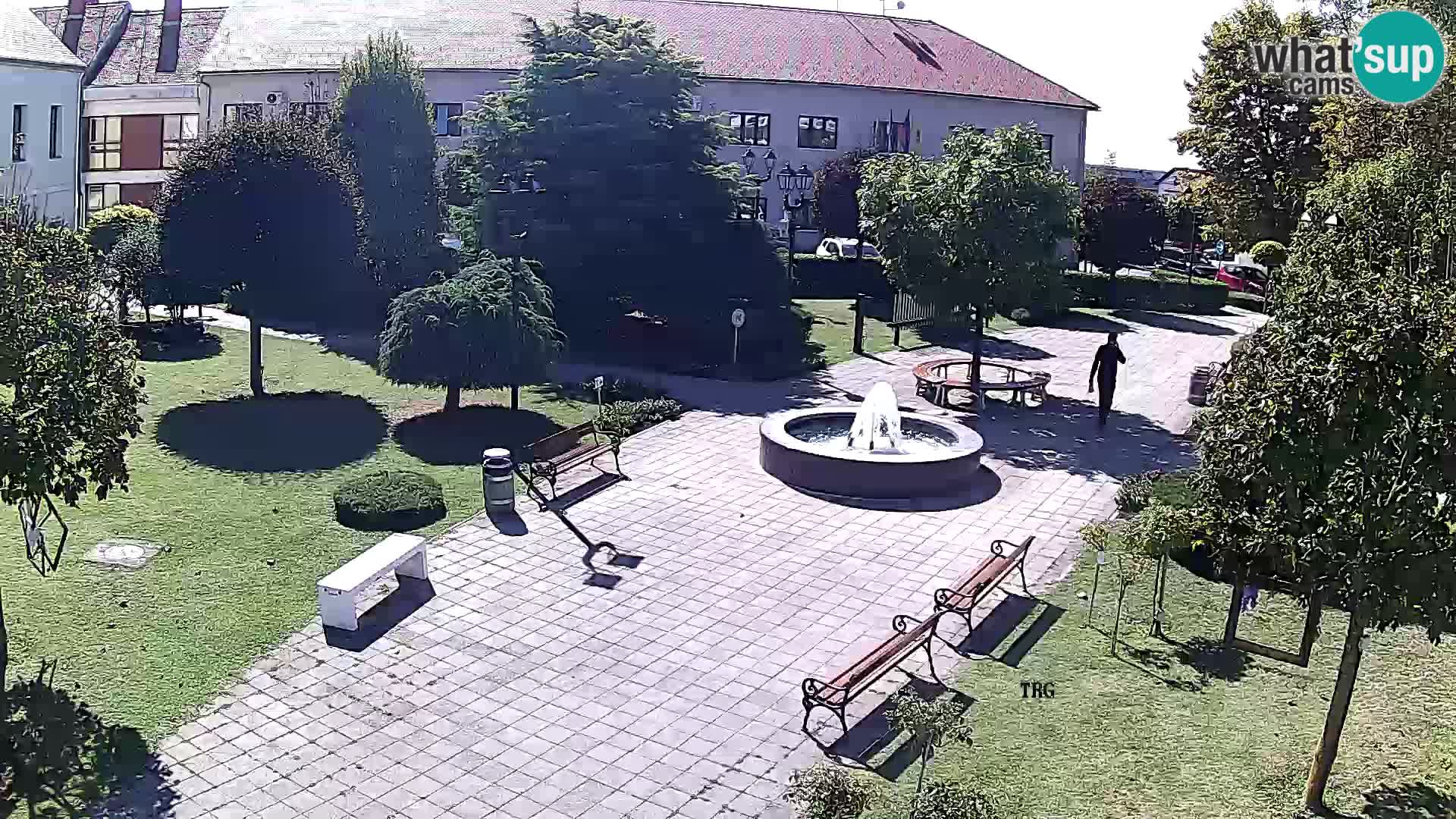 Čazma – Plaza Čazmanskog Kaptola