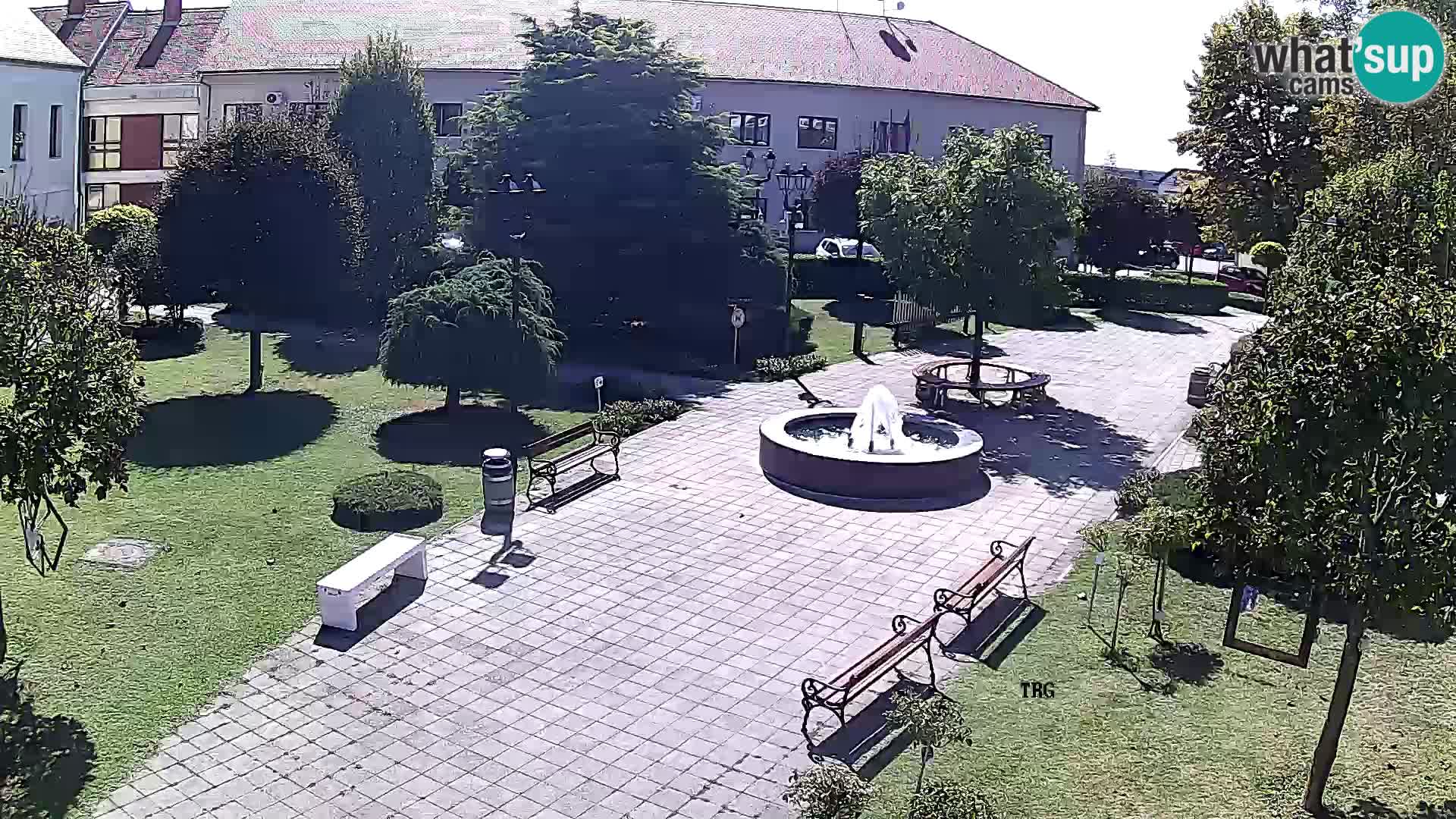 Čazma – Čazmanskog Kaptola square