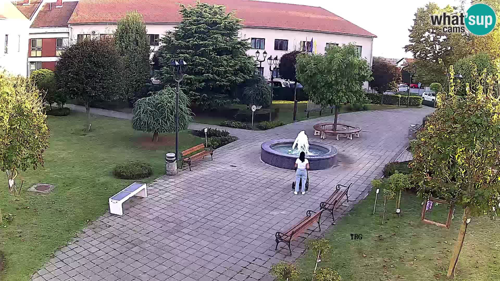Čazma – Čazmanskog Kaptola square
