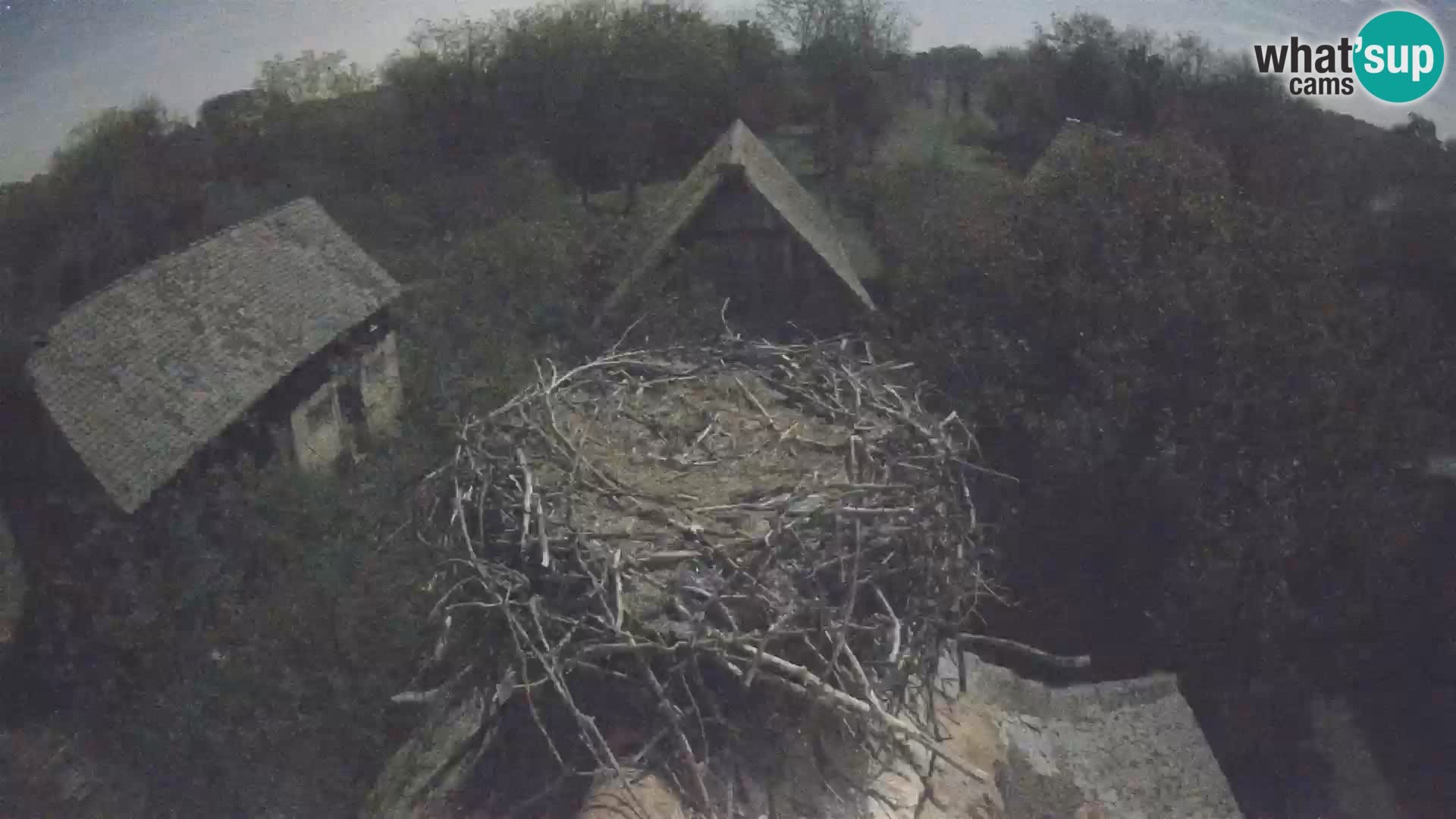 Webcam Europäisches Storchendorf – Naturpark Lonjsko polje