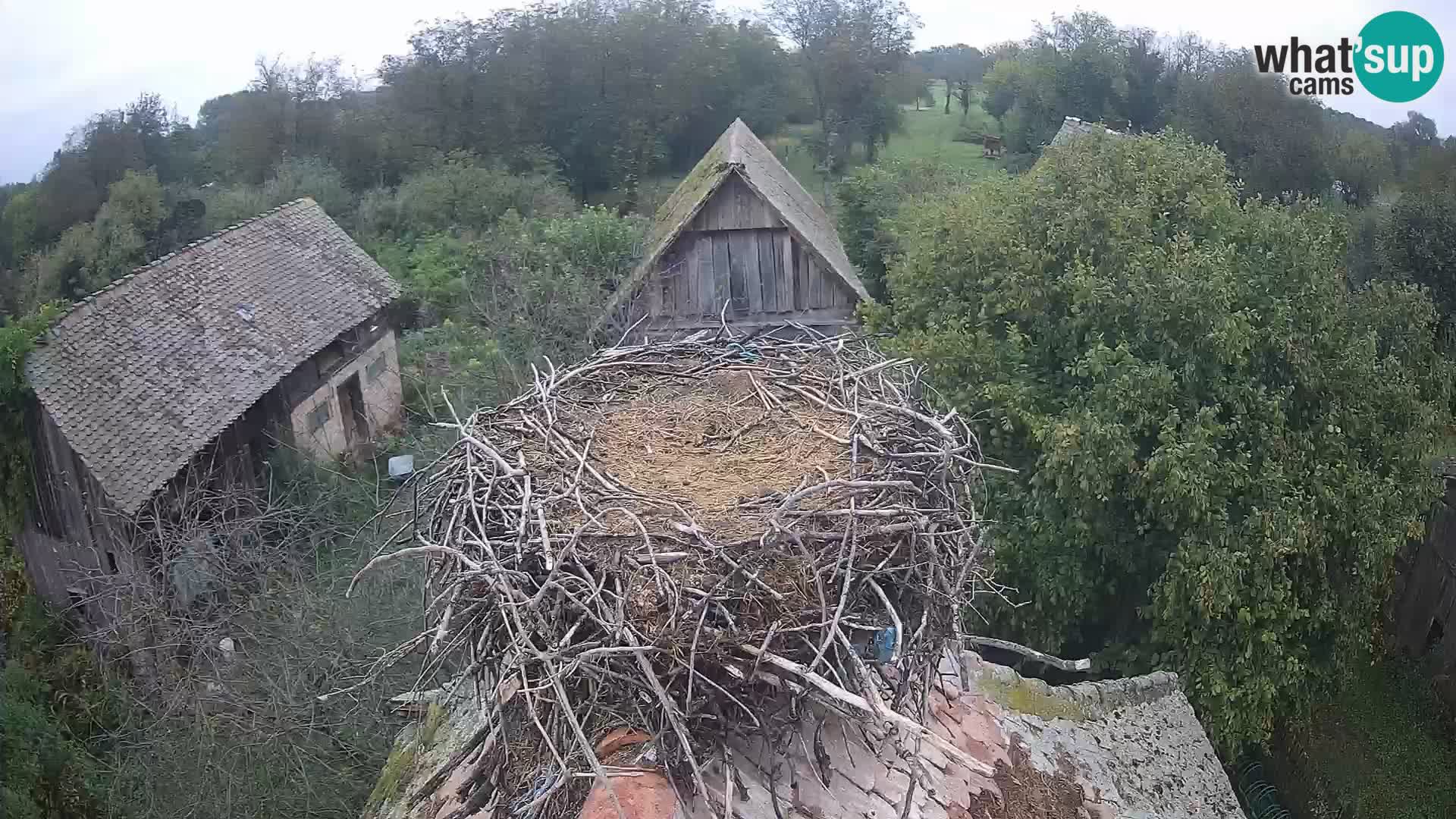 U živo Europsko selo roda – Park prirode Lonjsko polje