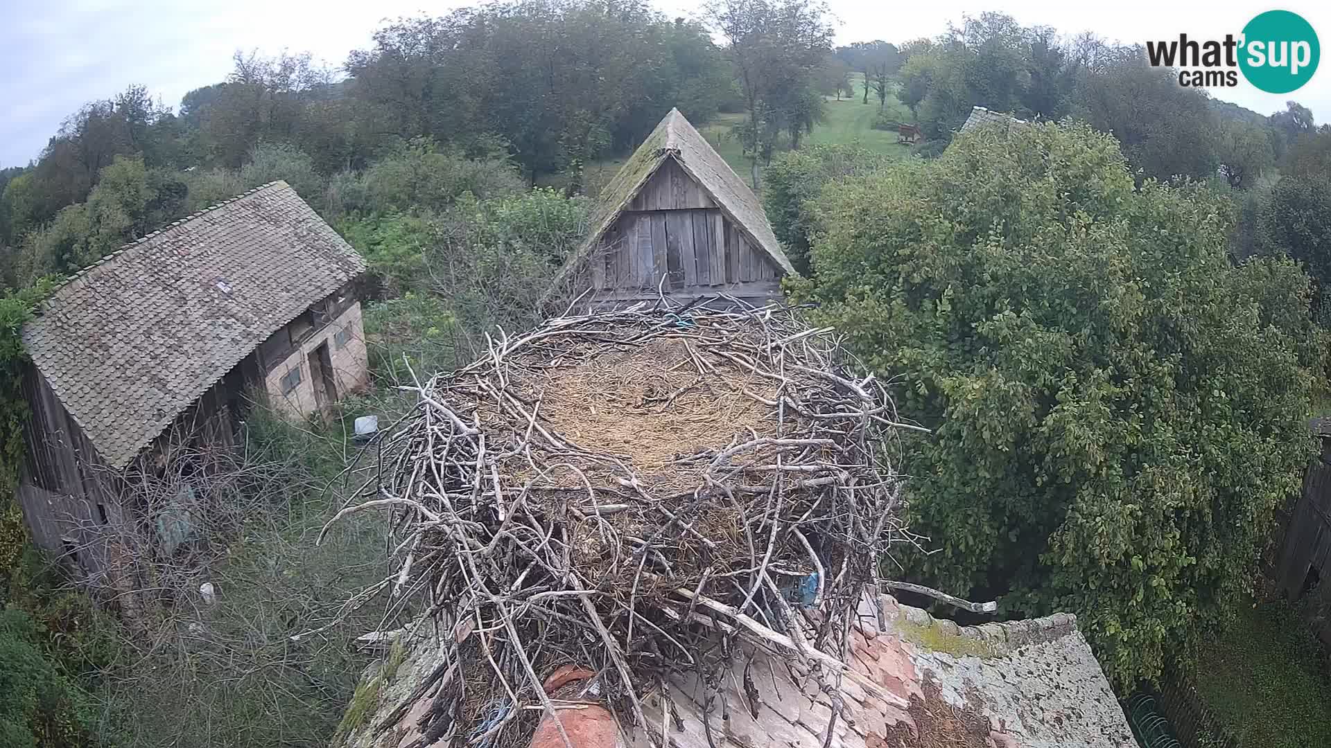 U živo Europsko selo roda – Park prirode Lonjsko polje