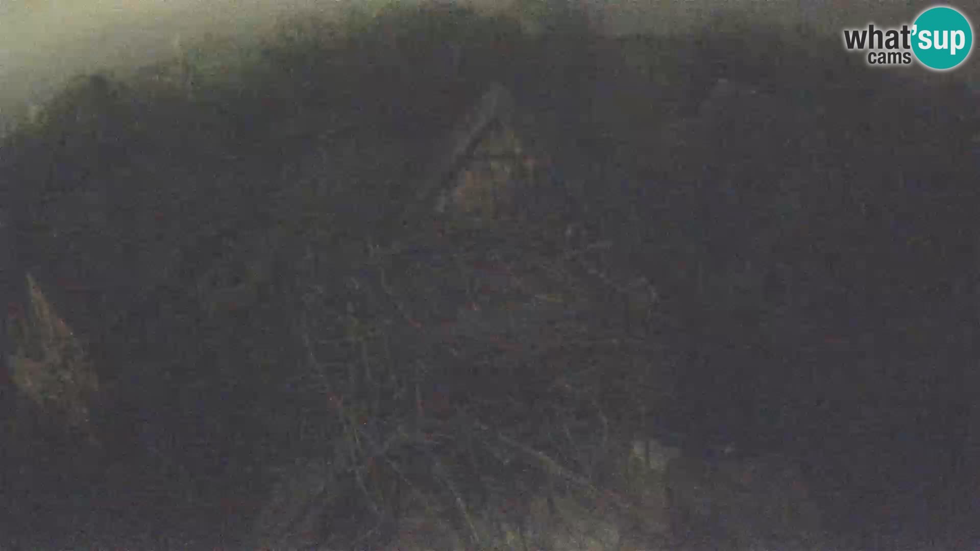 Village européen de cigognes webcam Parc naturel de Lonjsko polje