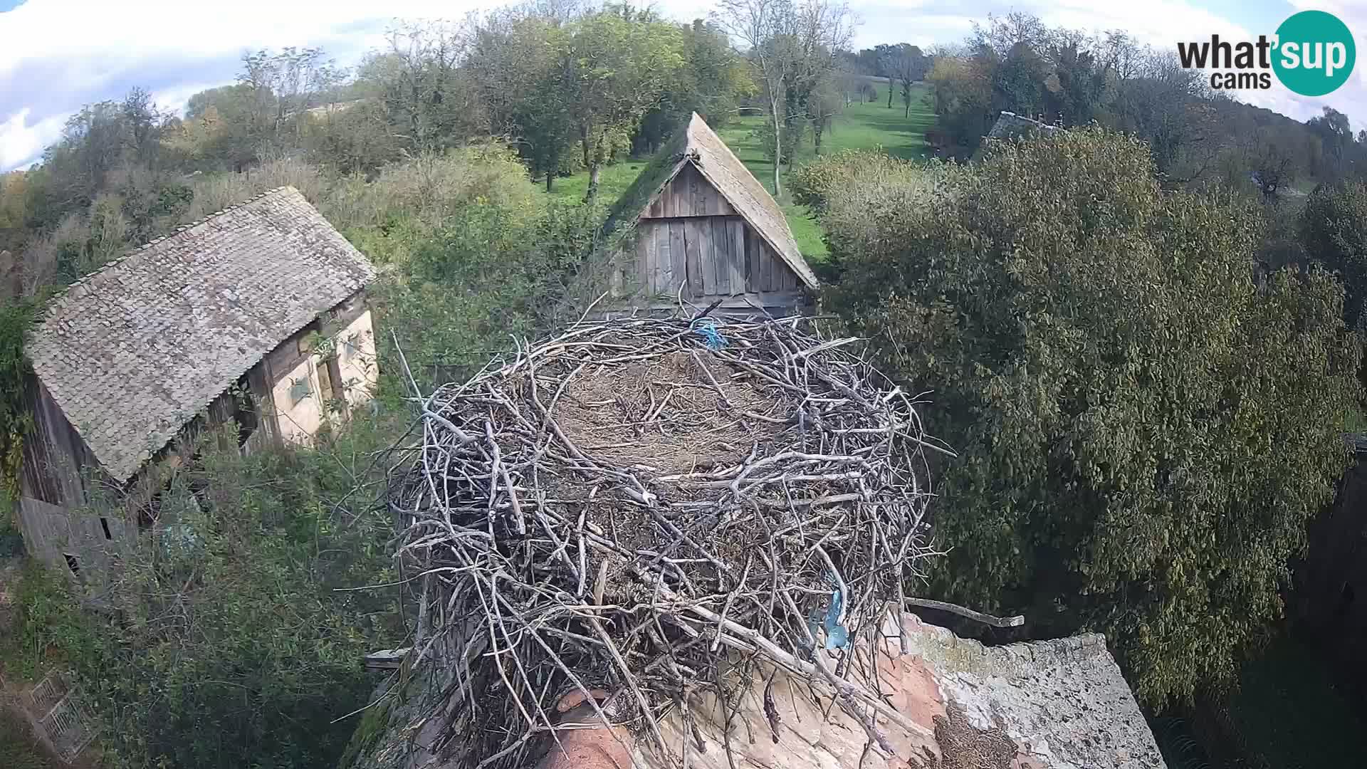 U živo Europsko selo roda – Park prirode Lonjsko polje