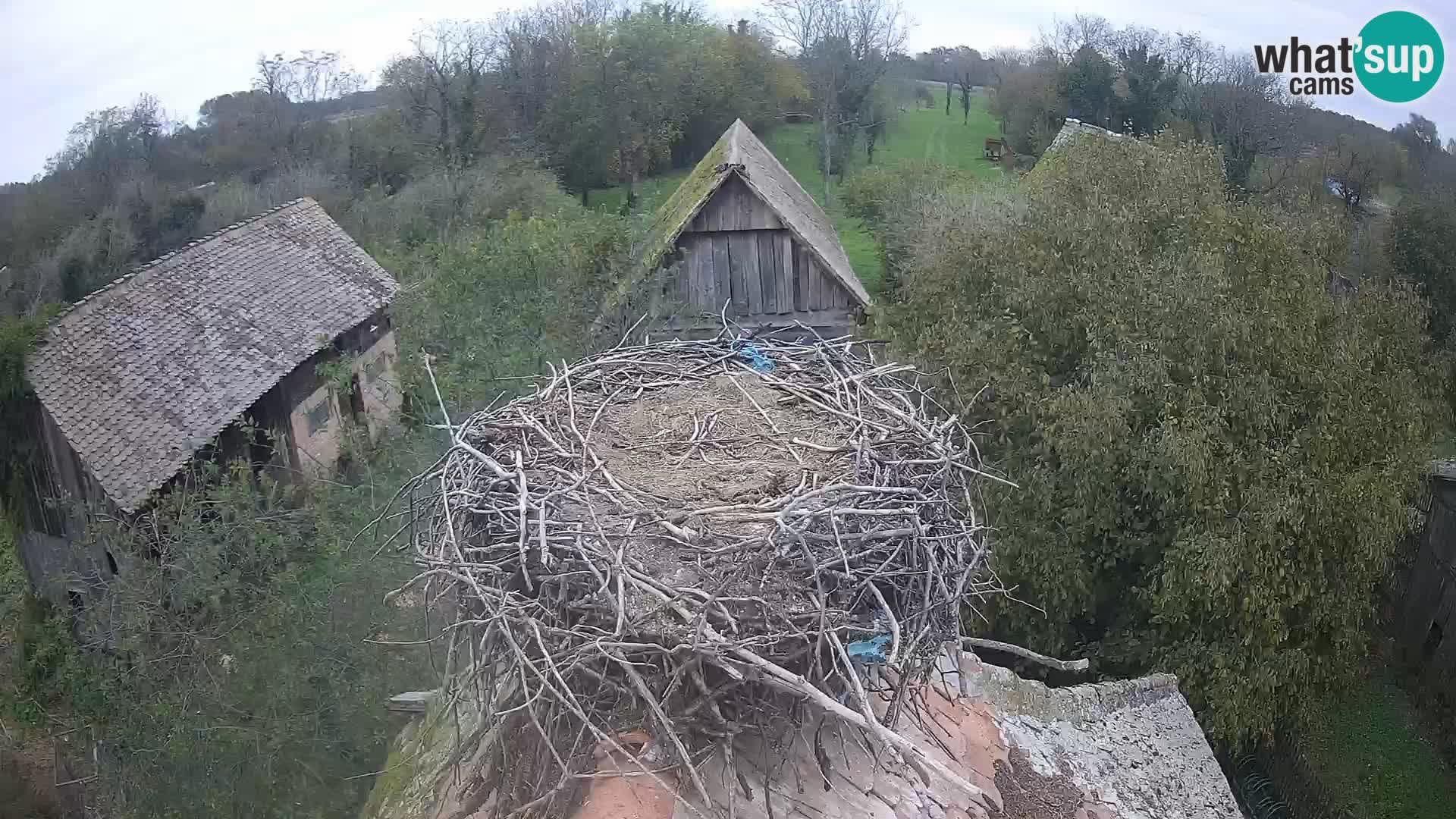 U živo Europsko selo roda – Park prirode Lonjsko polje