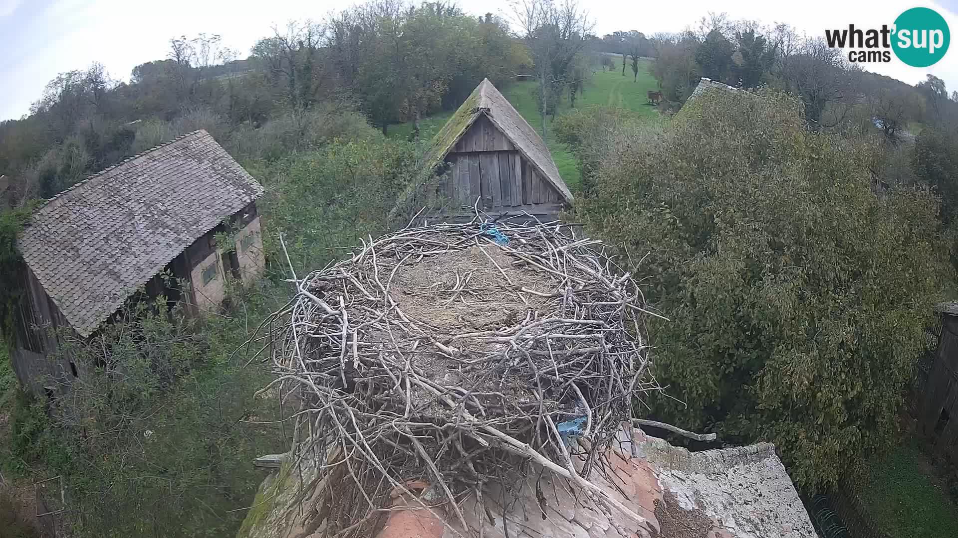 U živo Europsko selo roda – Park prirode Lonjsko polje