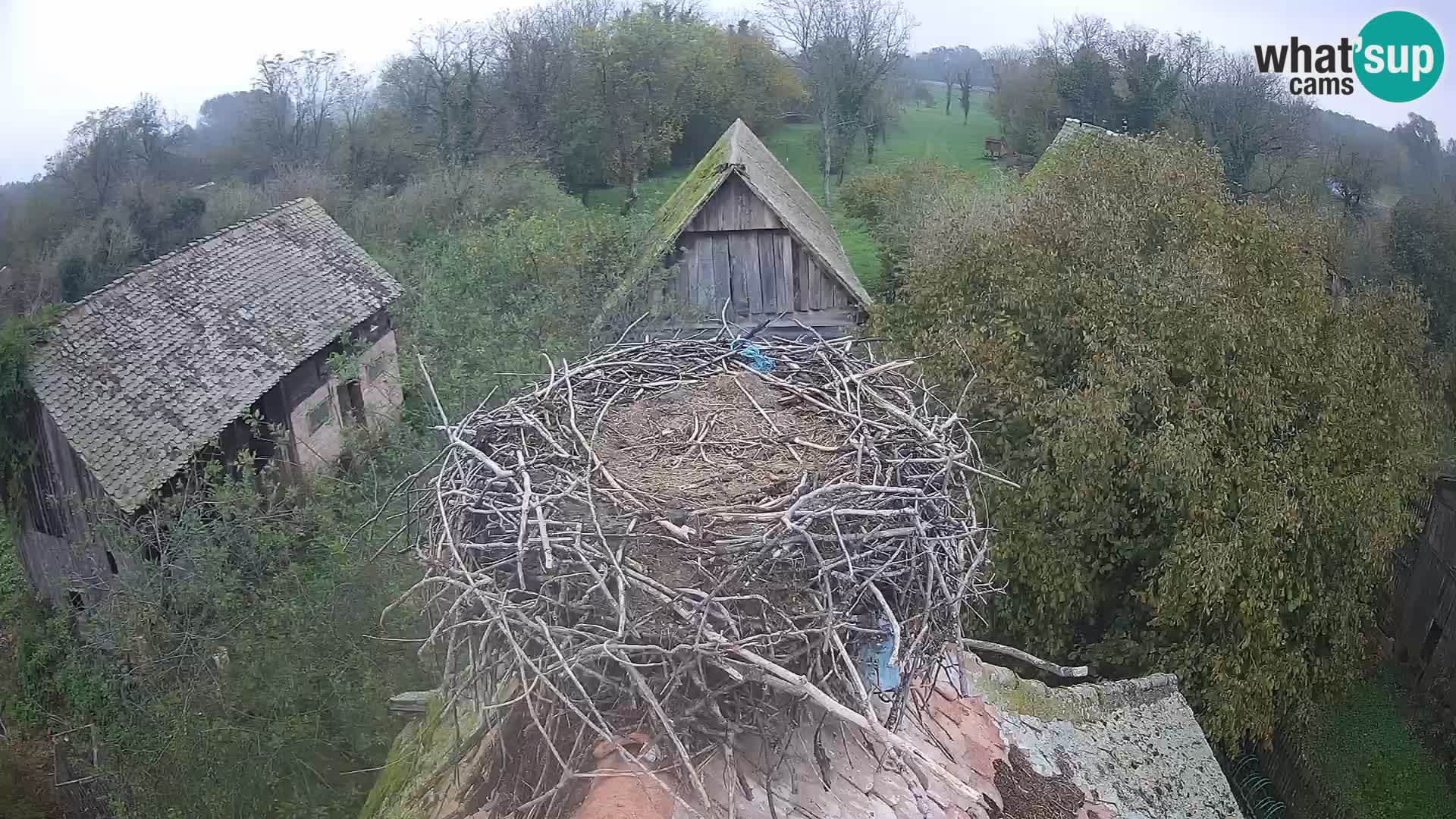 U živo Europsko selo roda – Park prirode Lonjsko polje