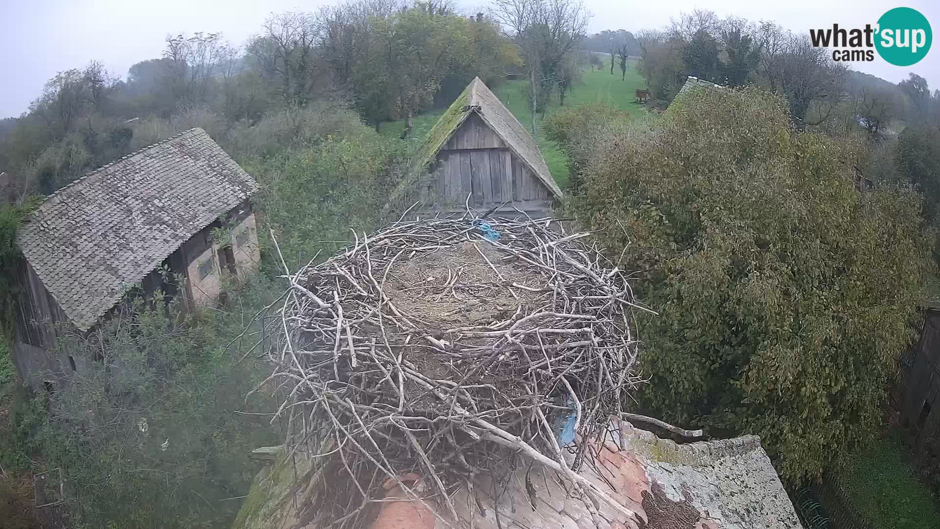 U živo Europsko selo roda – Park prirode Lonjsko polje