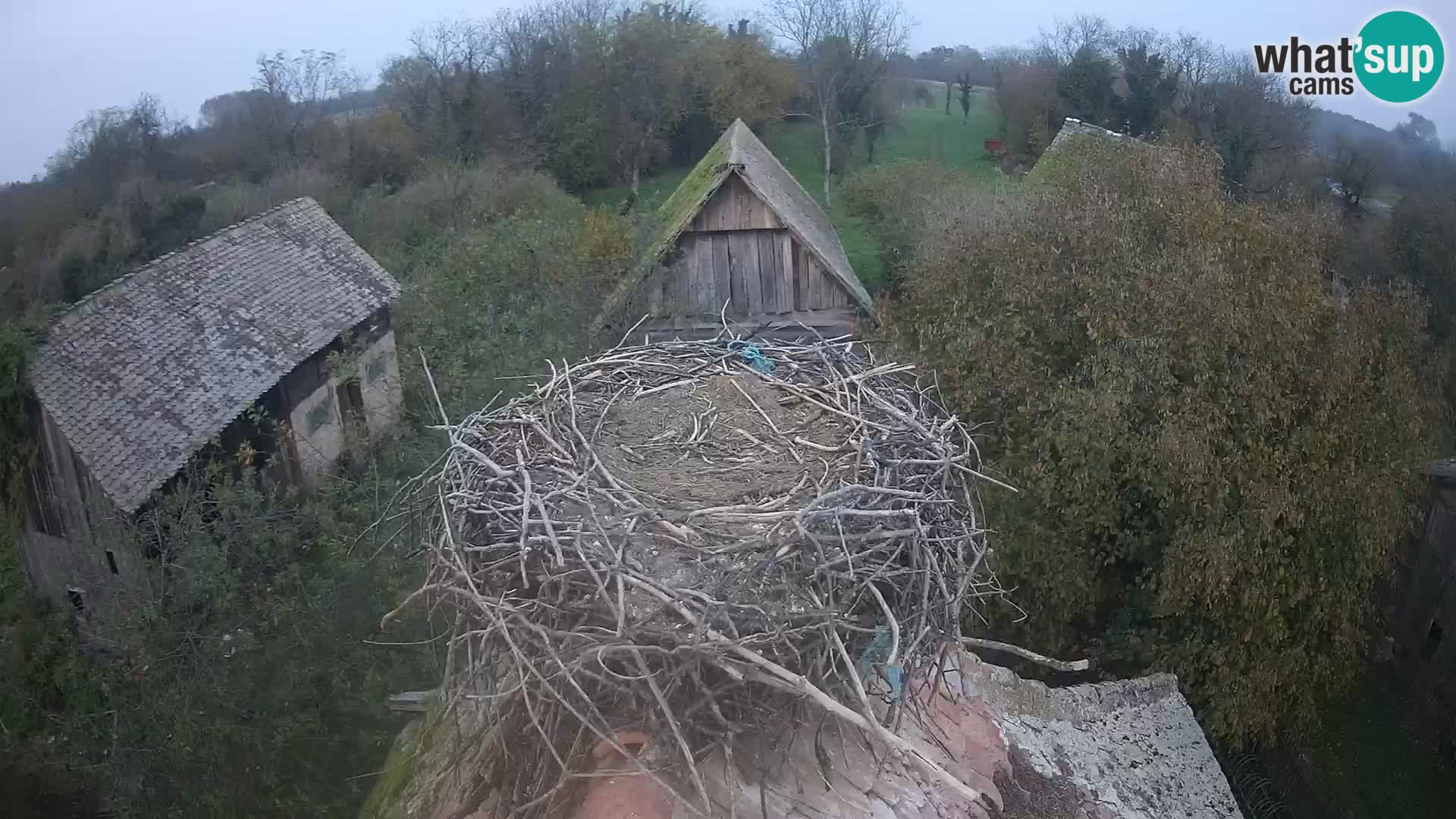 Village européen de cigognes webcam Parc naturel de Lonjsko polje