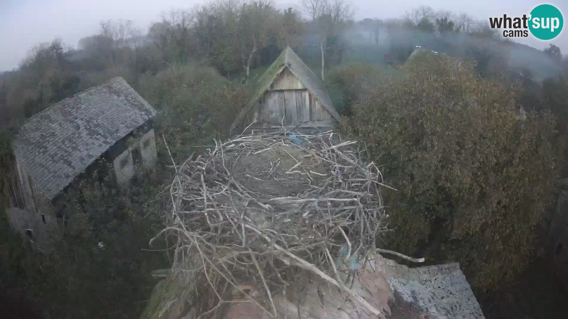 Webcam Europäisches Storchendorf – Naturpark Lonjsko polje