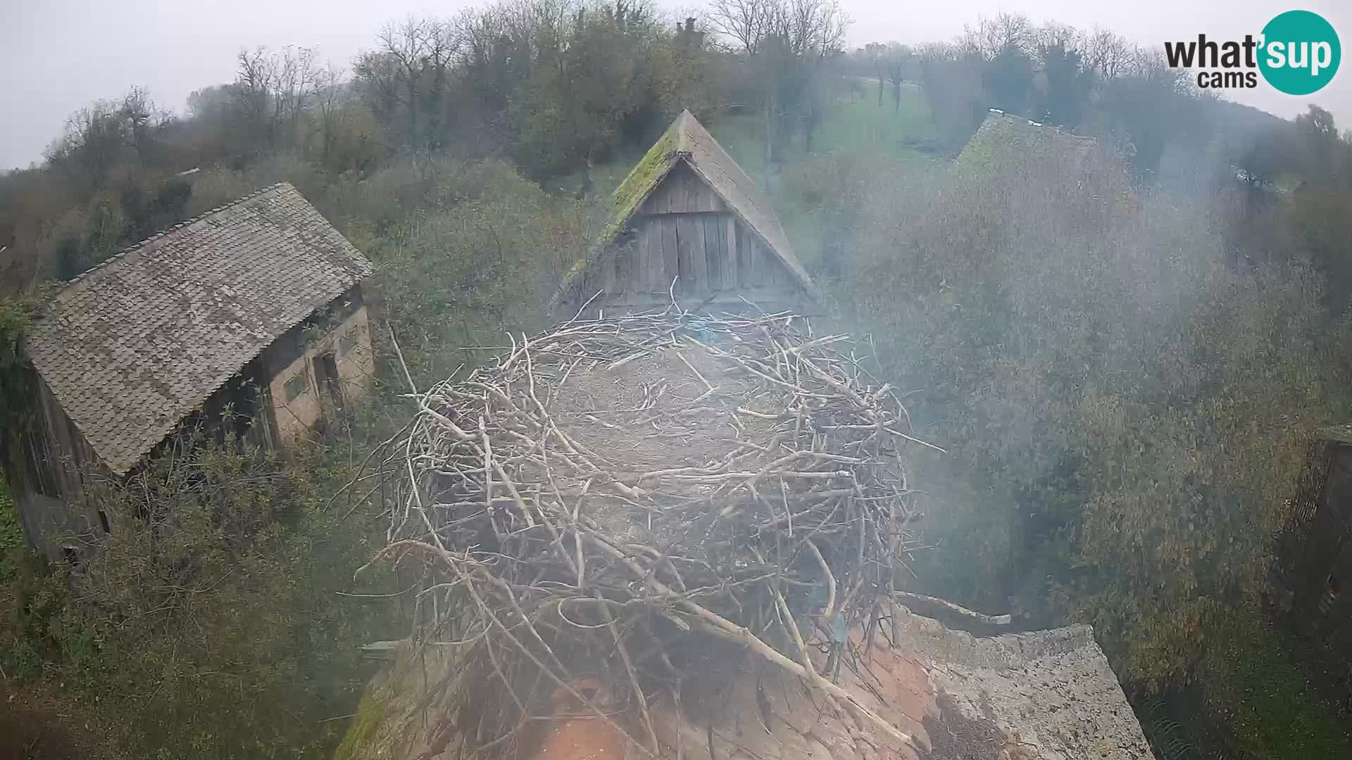 U živo Europsko selo roda – Park prirode Lonjsko polje