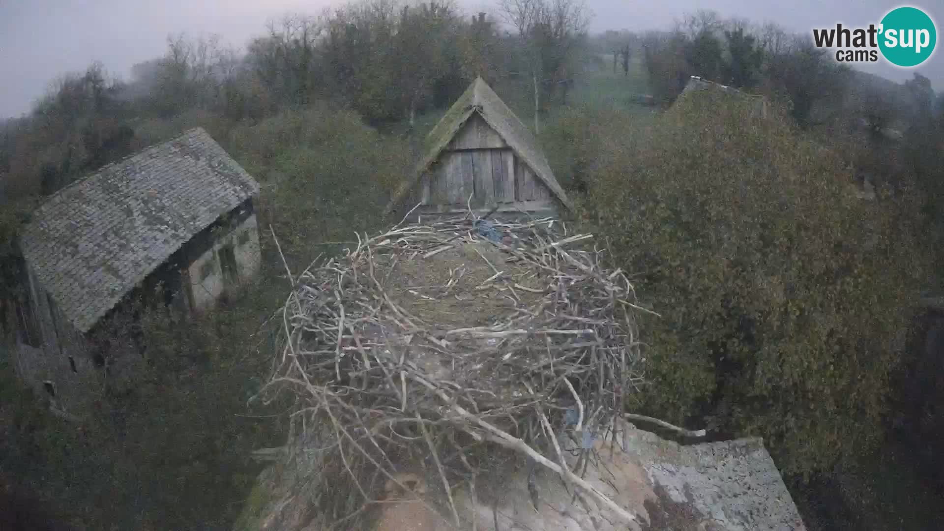 Webcam Europäisches Storchendorf – Naturpark Lonjsko polje