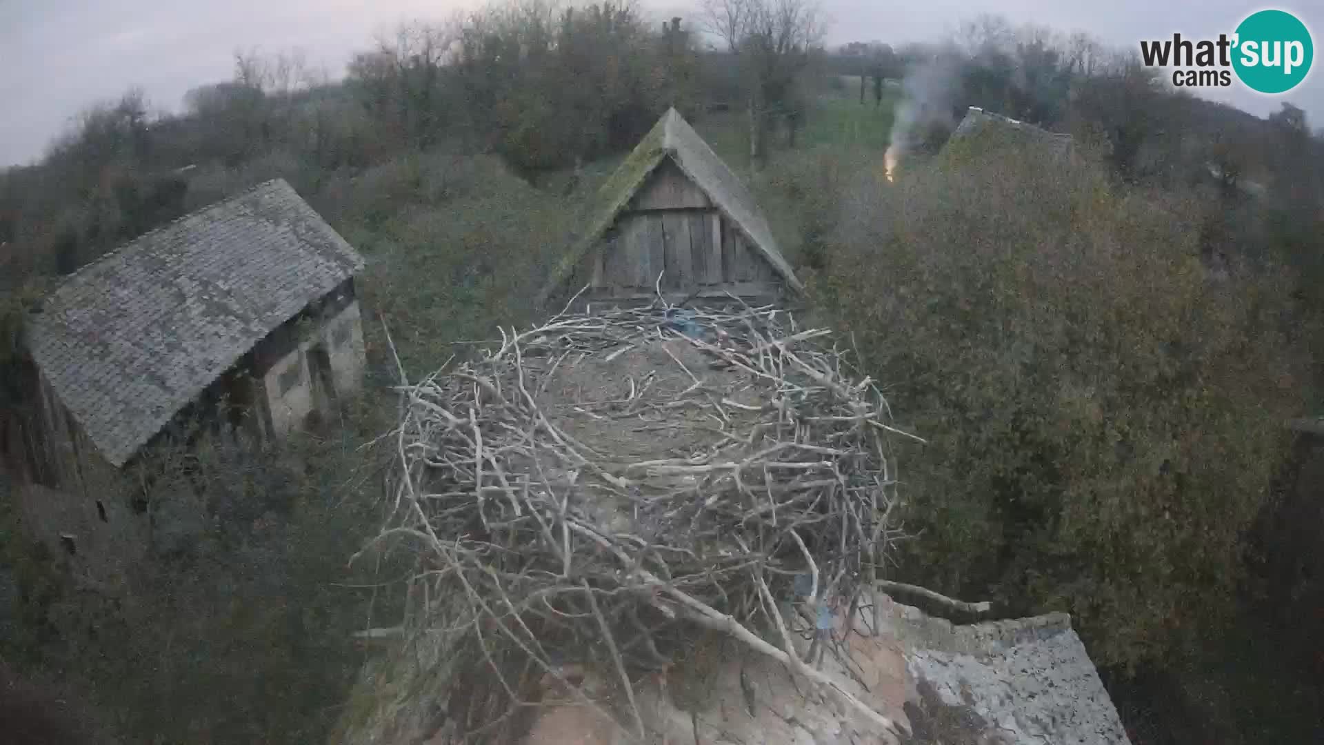 Pueblo europeo de cigüeñas camera en vivo Parque Natural Lonjsko polje