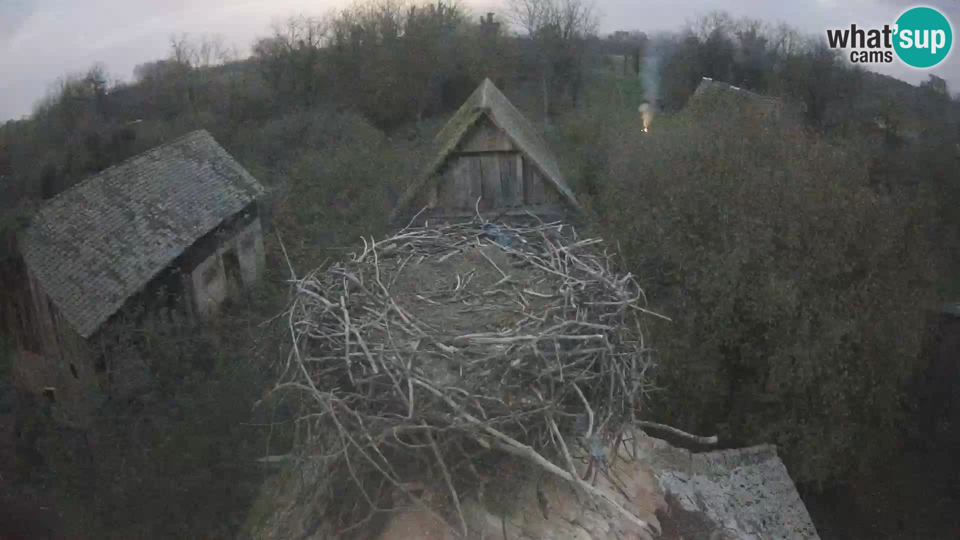 Villaggio delle cicogne europee webcam Parco naturale di Lonjsko polje