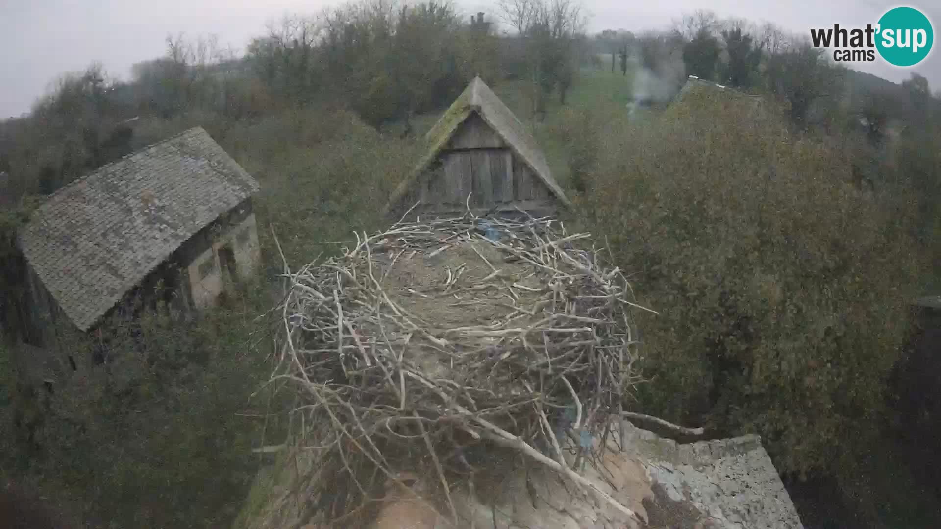 Webcam Europäisches Storchendorf – Naturpark Lonjsko polje