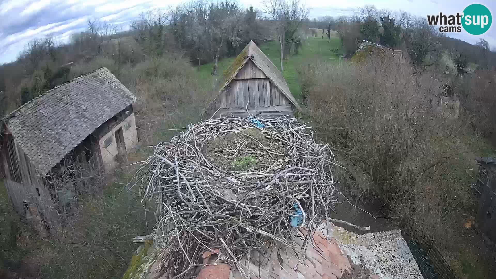 U živo Europsko selo roda – Park prirode Lonjsko polje