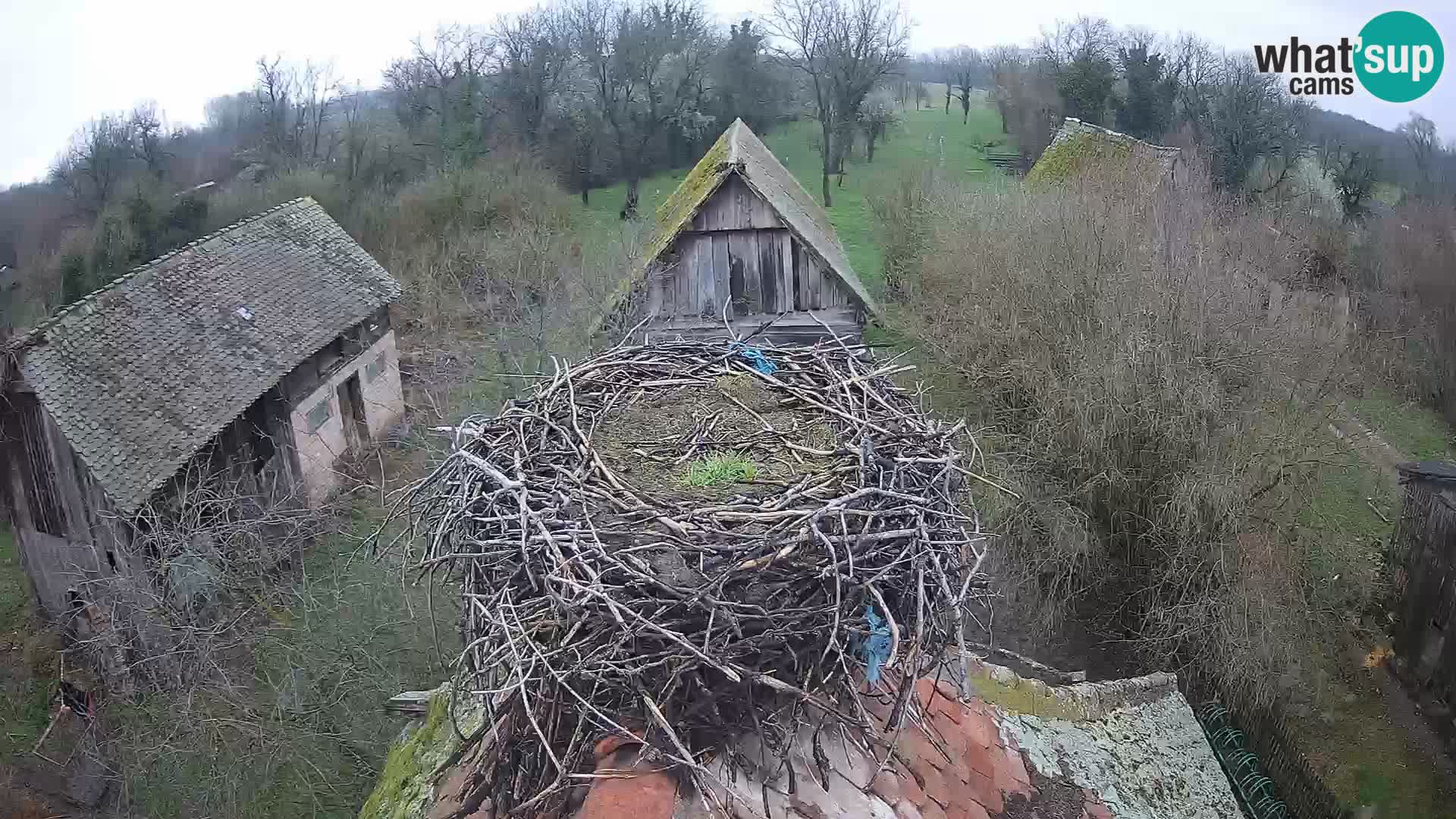 U živo Europsko selo roda – Park prirode Lonjsko polje