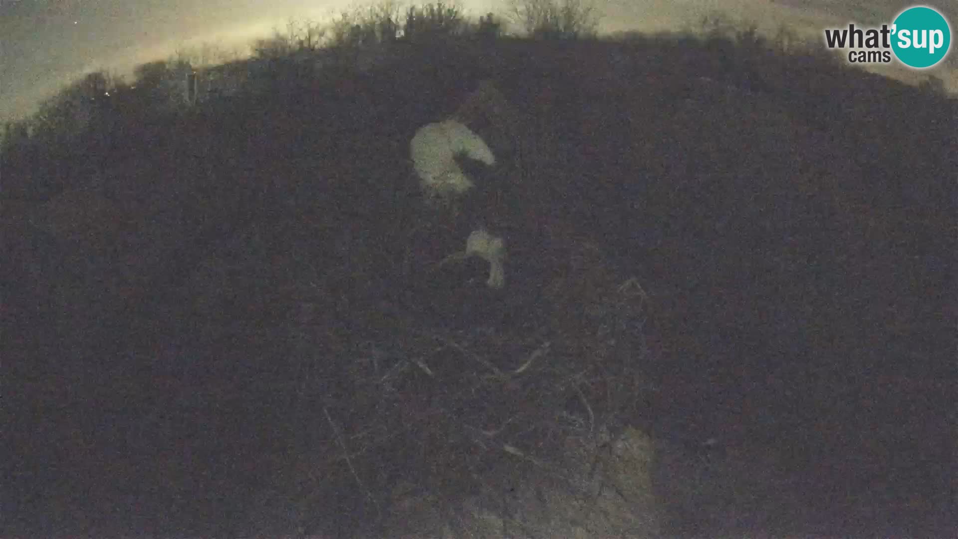 Pueblo europeo de cigüeñas camera en vivo Parque Natural Lonjsko polje