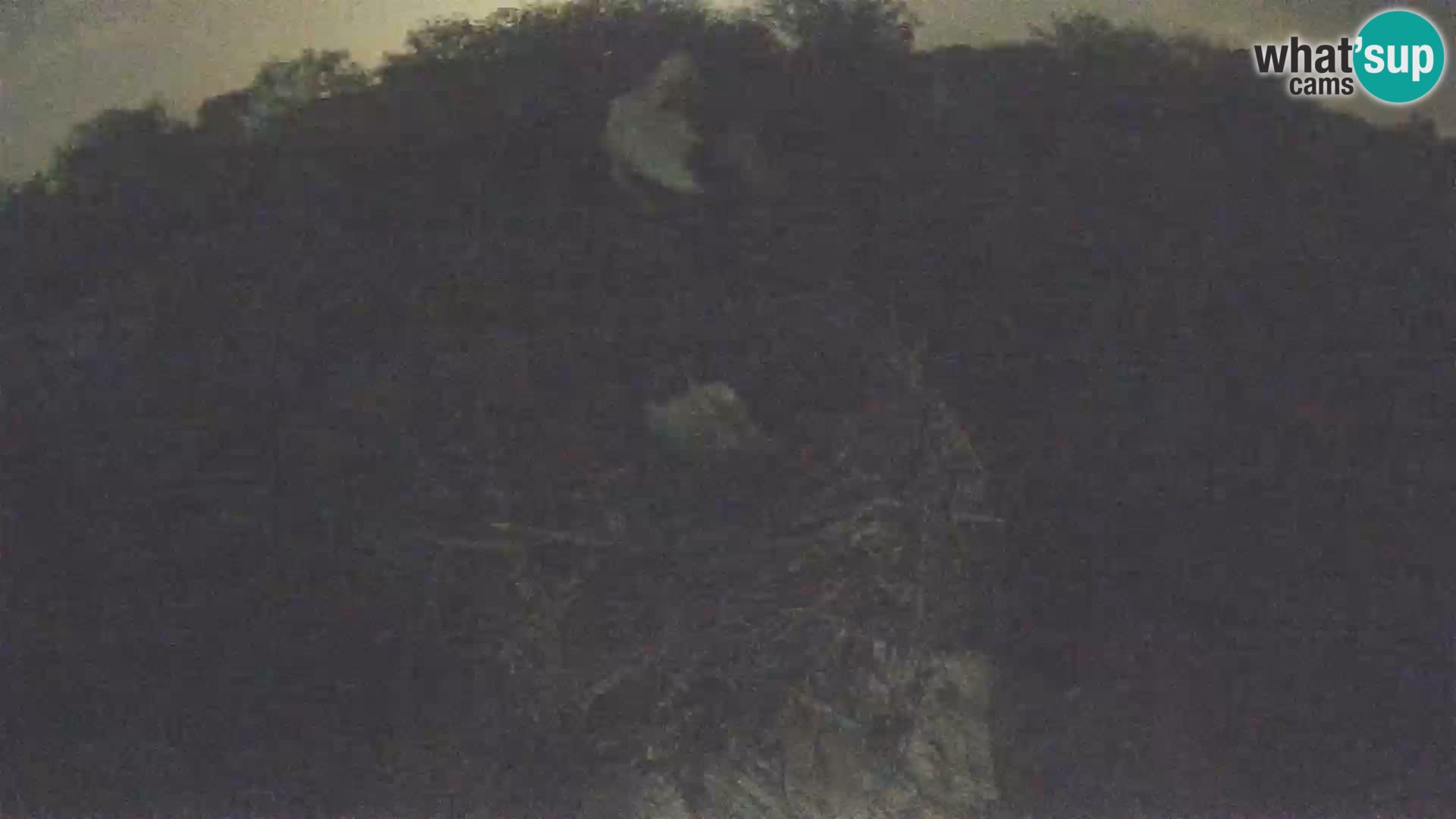 Live webcam European stork village – Lonjsko polje Nature Park