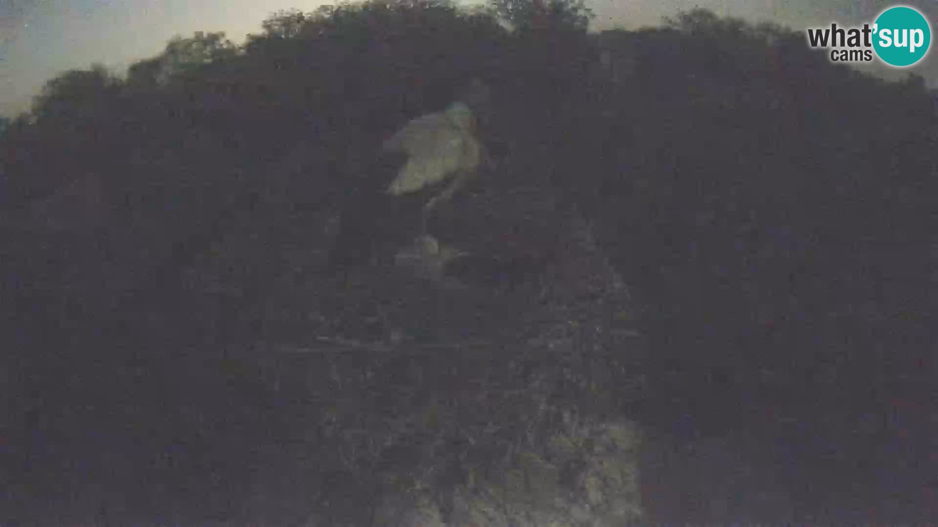 Webcam Europäisches Storchendorf – Naturpark Lonjsko polje
