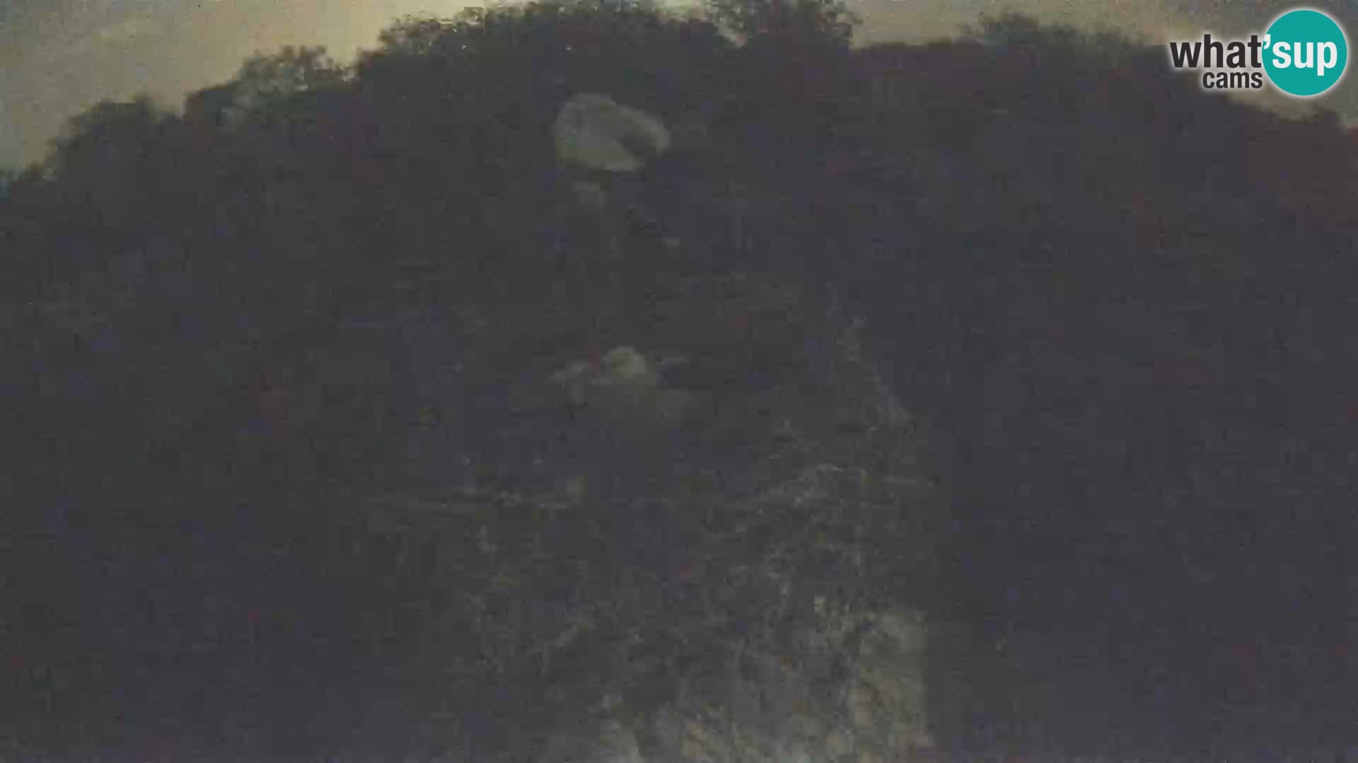 Webcam Europäisches Storchendorf – Naturpark Lonjsko polje