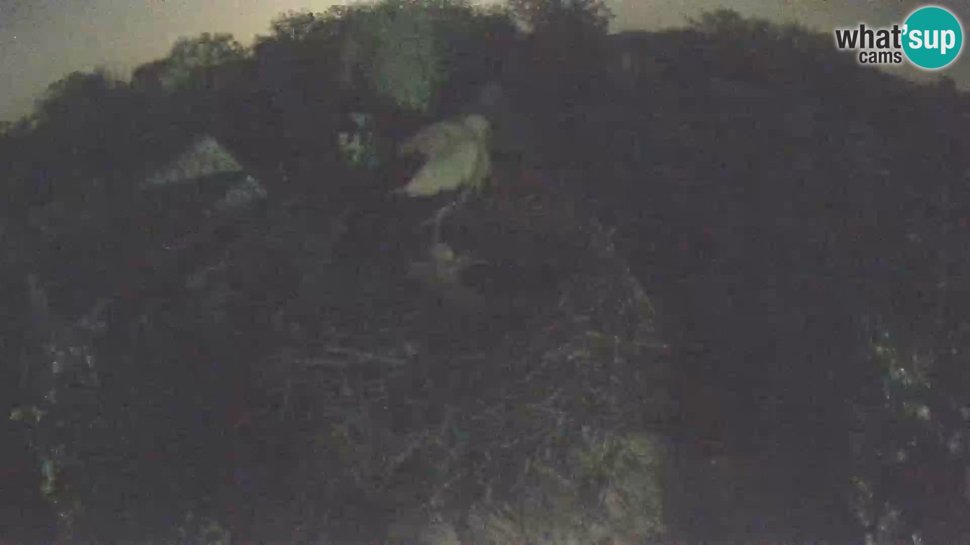 Webcam Europäisches Storchendorf – Naturpark Lonjsko polje