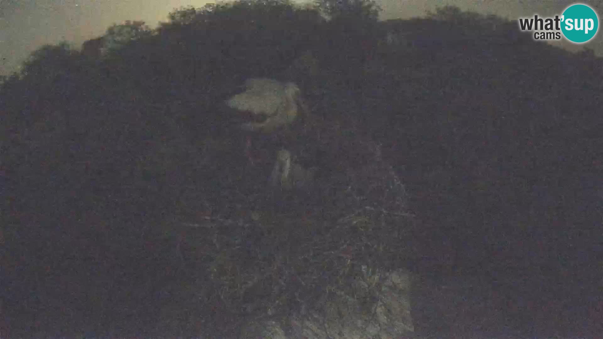Village européen de cigognes webcam Parc naturel de Lonjsko polje