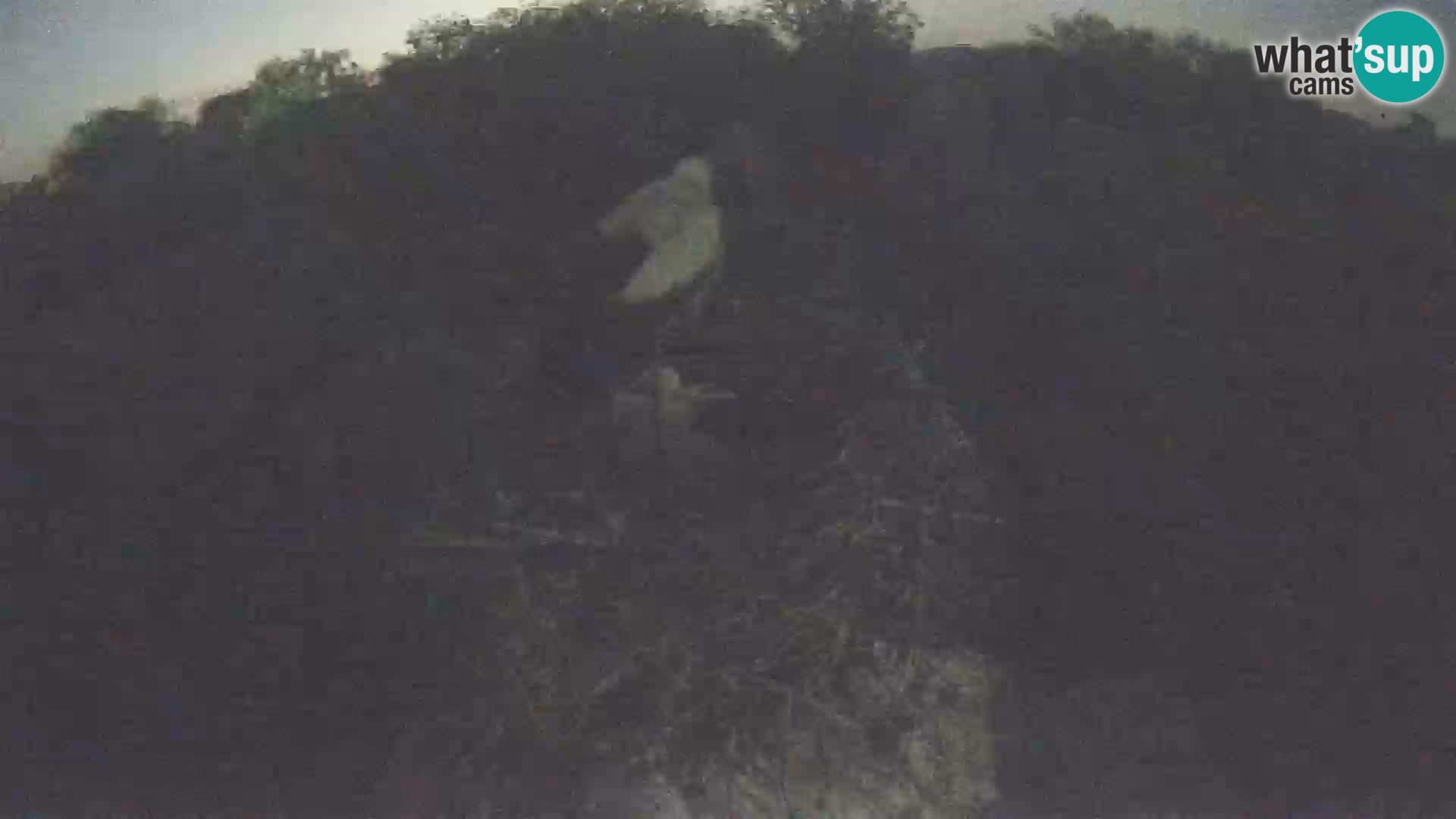 Webcam Europäisches Storchendorf – Naturpark Lonjsko polje