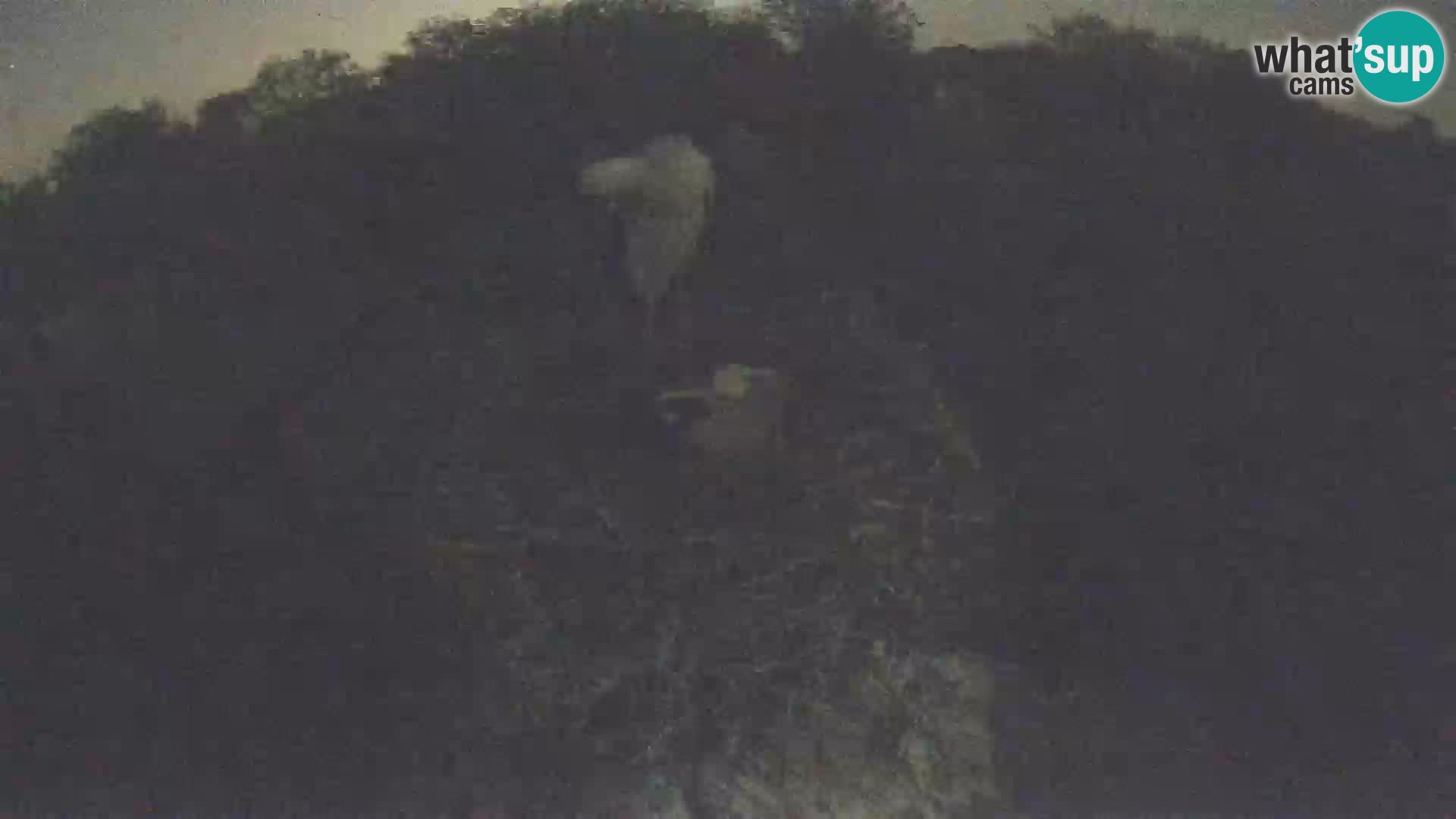 Webcam Europäisches Storchendorf – Naturpark Lonjsko polje