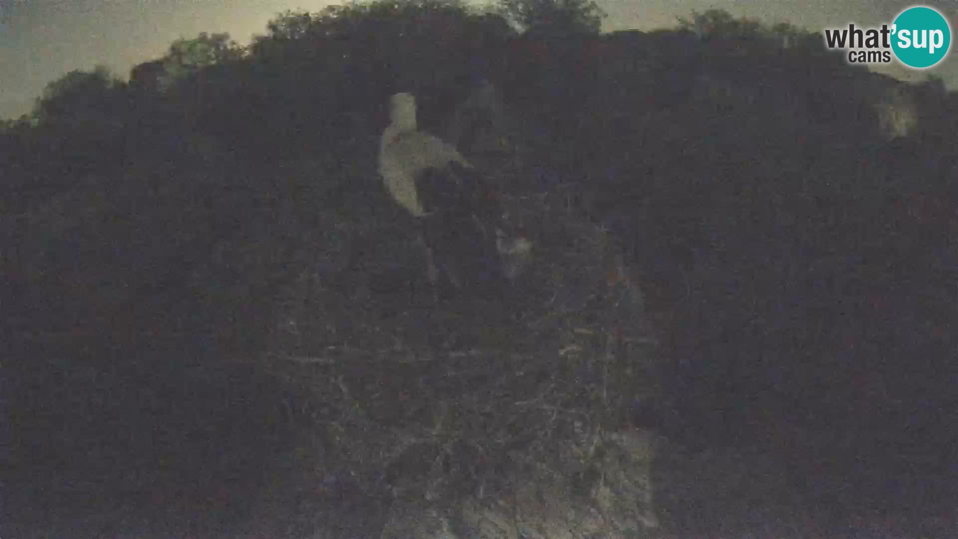 Villaggio delle cicogne europee webcam Parco naturale di Lonjsko polje