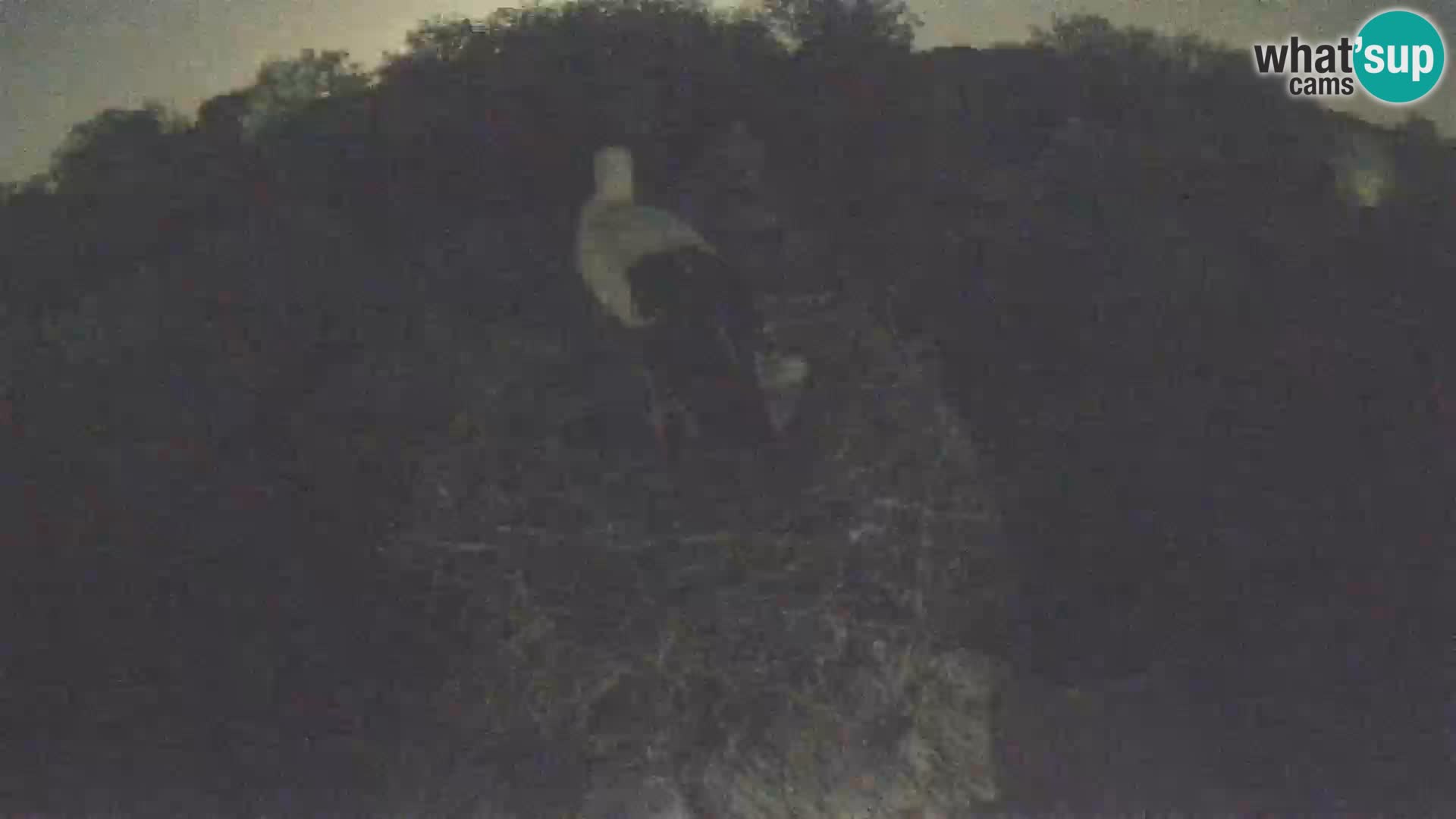 Villaggio delle cicogne europee webcam Parco naturale di Lonjsko polje