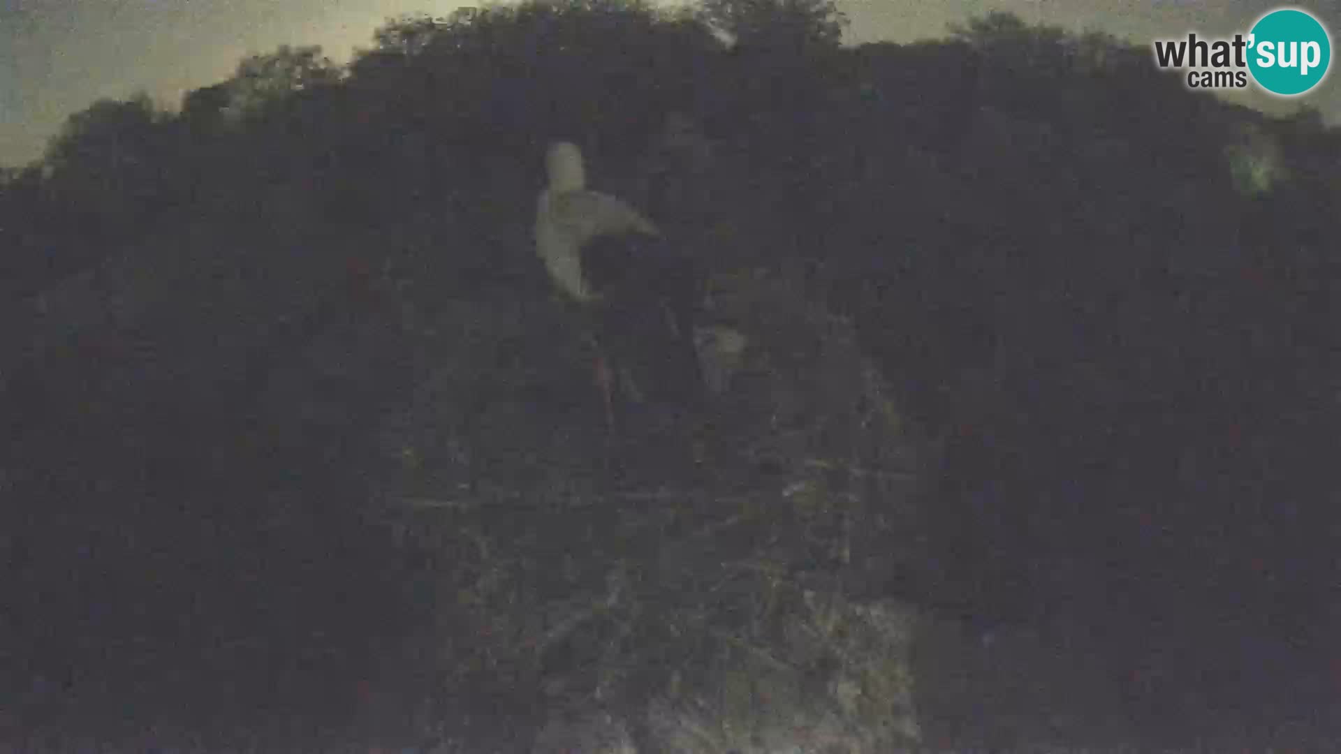 Pueblo europeo de cigüeñas camera en vivo Parque Natural Lonjsko polje