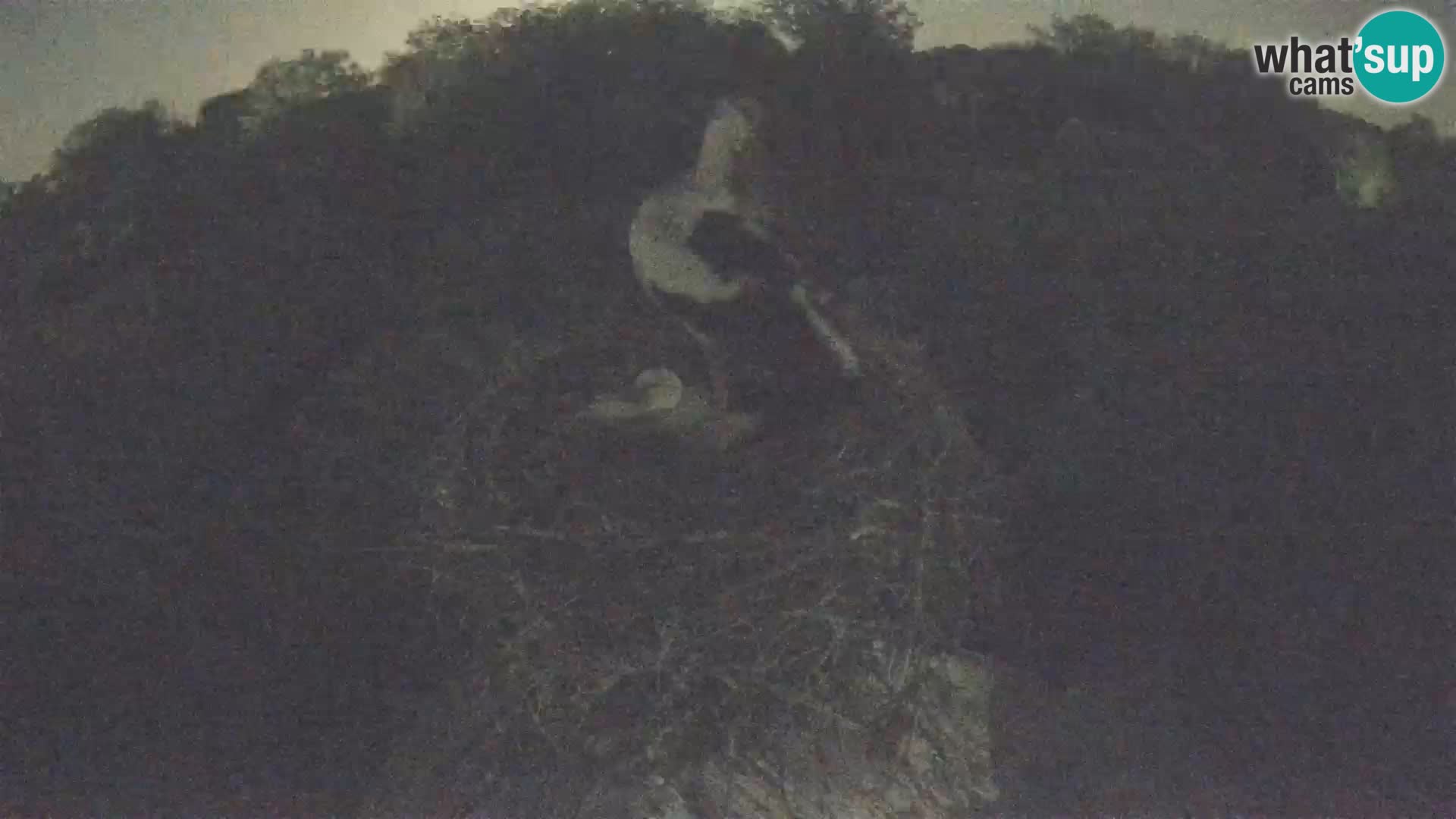 Villaggio delle cicogne europee webcam Parco naturale di Lonjsko polje