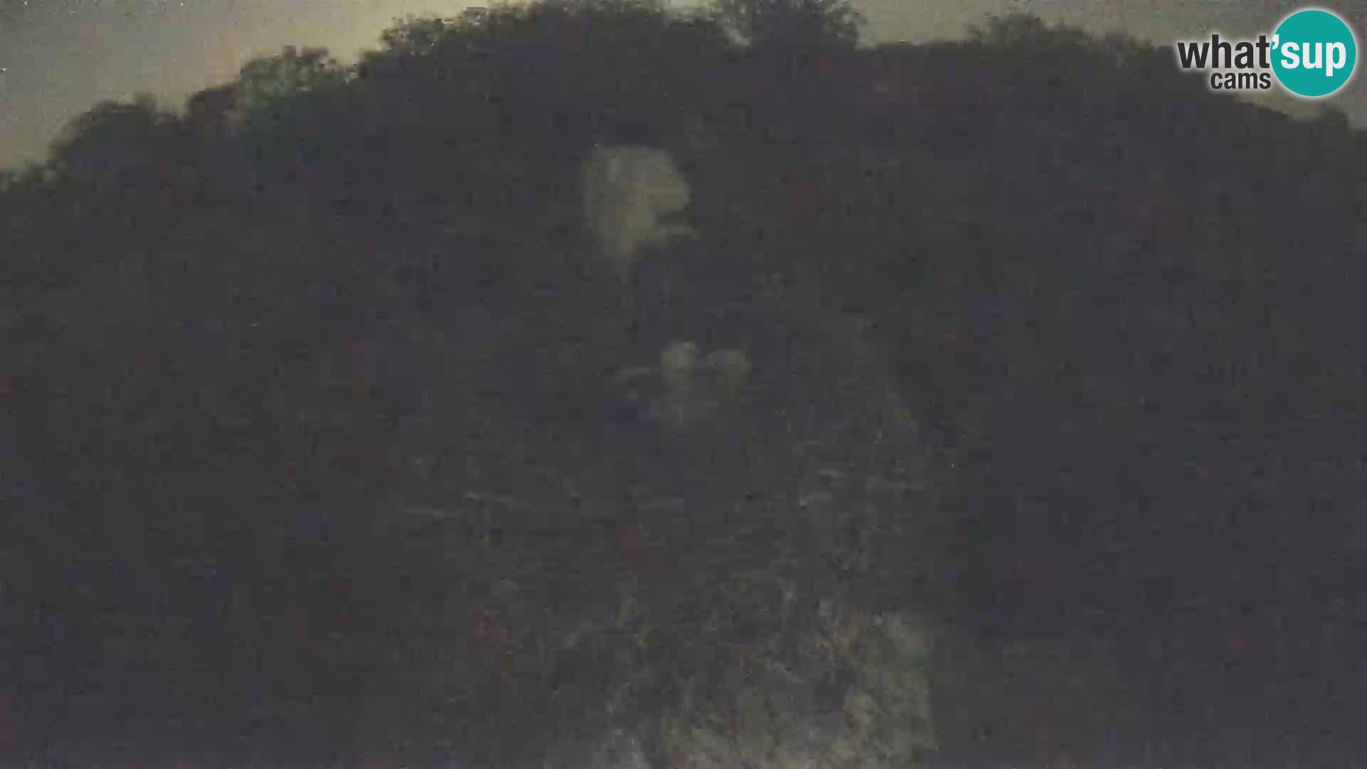 Village européen de cigognes webcam Parc naturel de Lonjsko polje