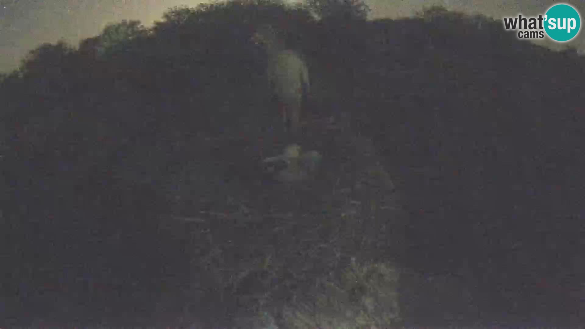Villaggio delle cicogne europee webcam Parco naturale di Lonjsko polje