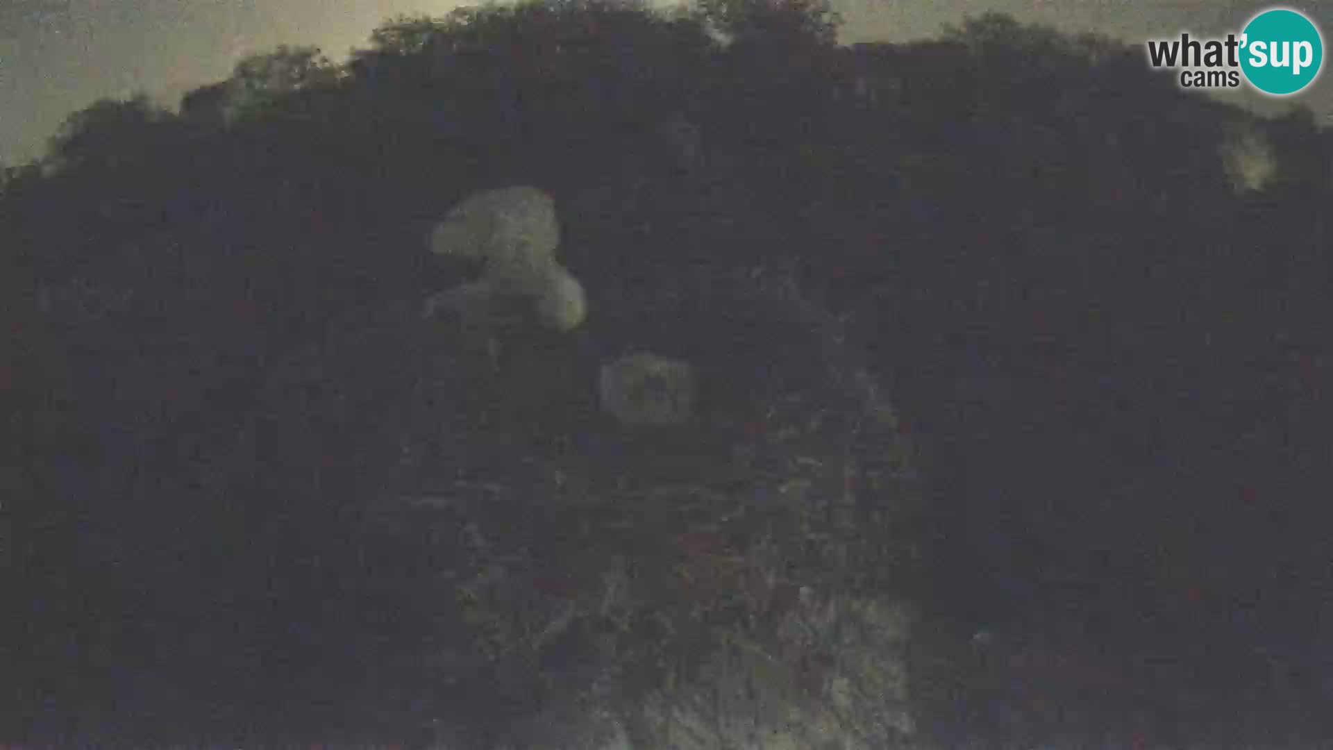 Villaggio delle cicogne europee webcam Parco naturale di Lonjsko polje