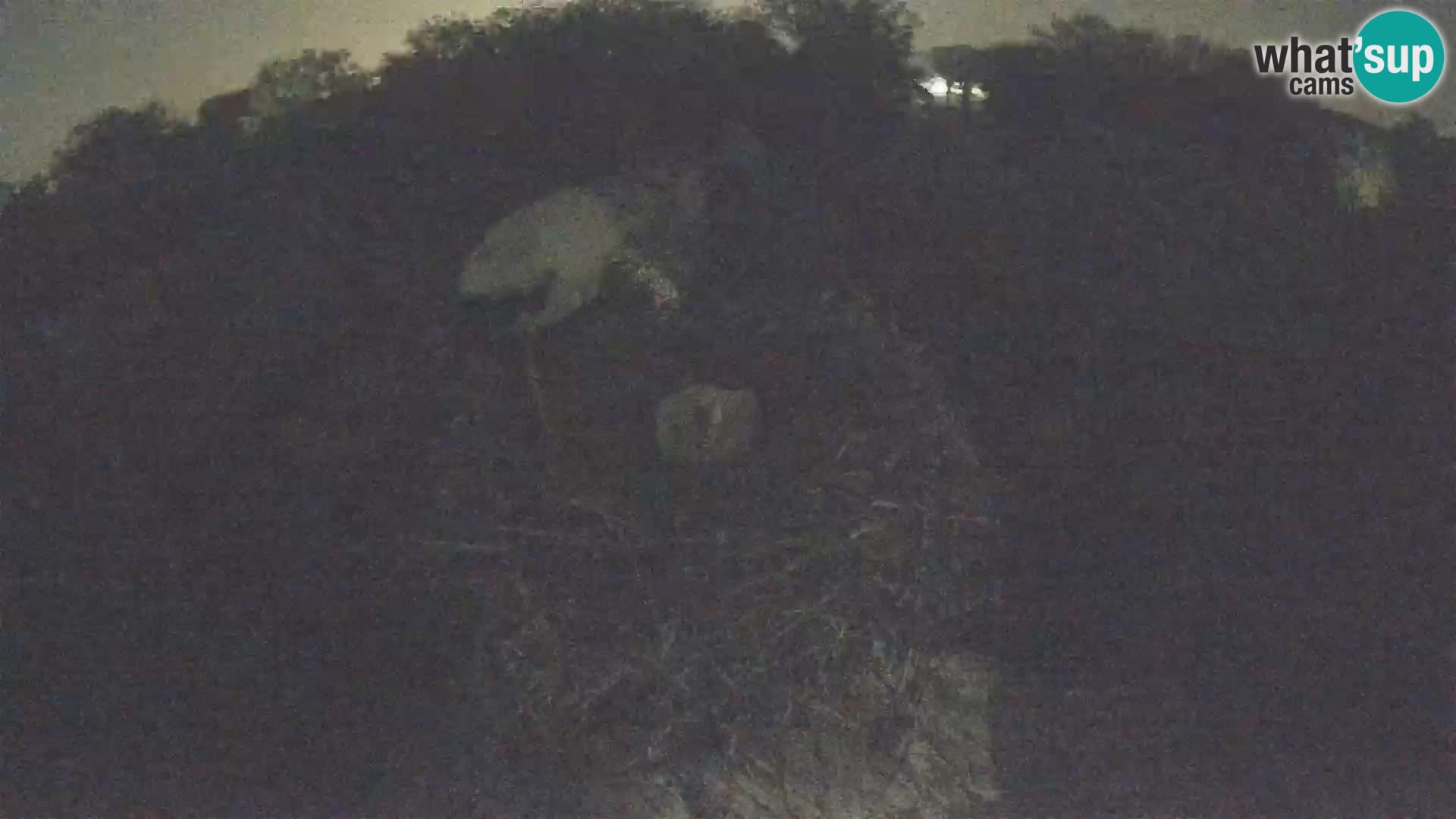 U živo Europsko selo roda – Park prirode Lonjsko polje