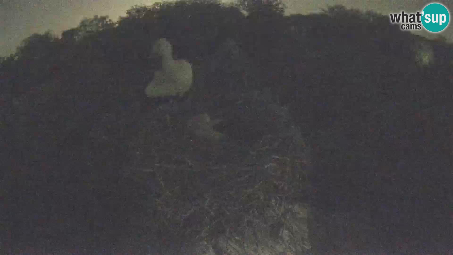 Pueblo europeo de cigüeñas camera en vivo Parque Natural Lonjsko polje