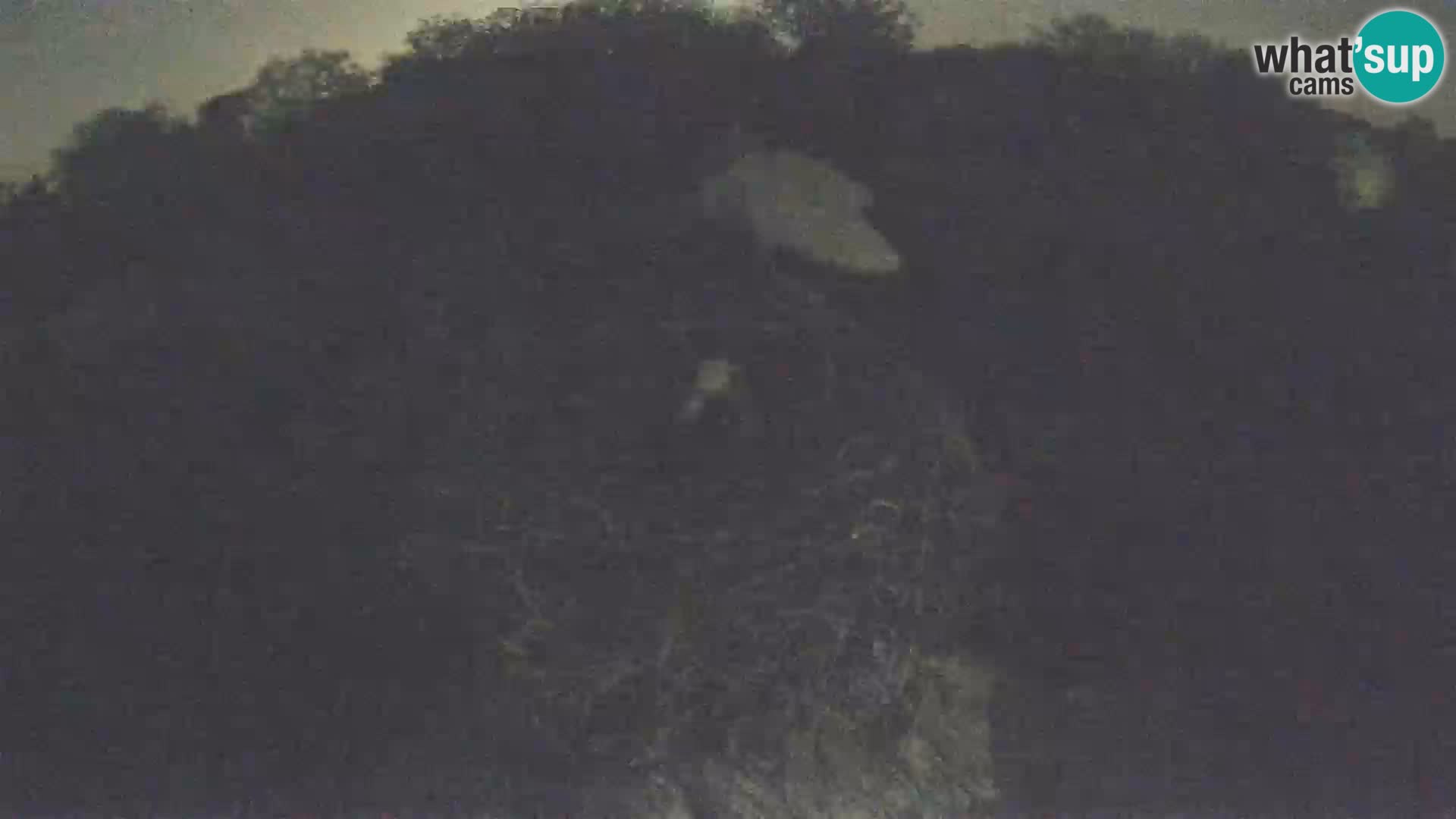 Village européen de cigognes webcam Parc naturel de Lonjsko polje