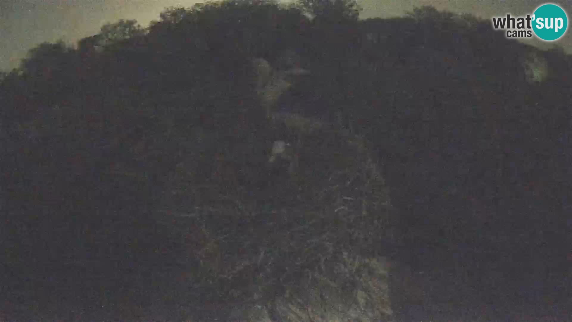Webcam Europäisches Storchendorf – Naturpark Lonjsko polje