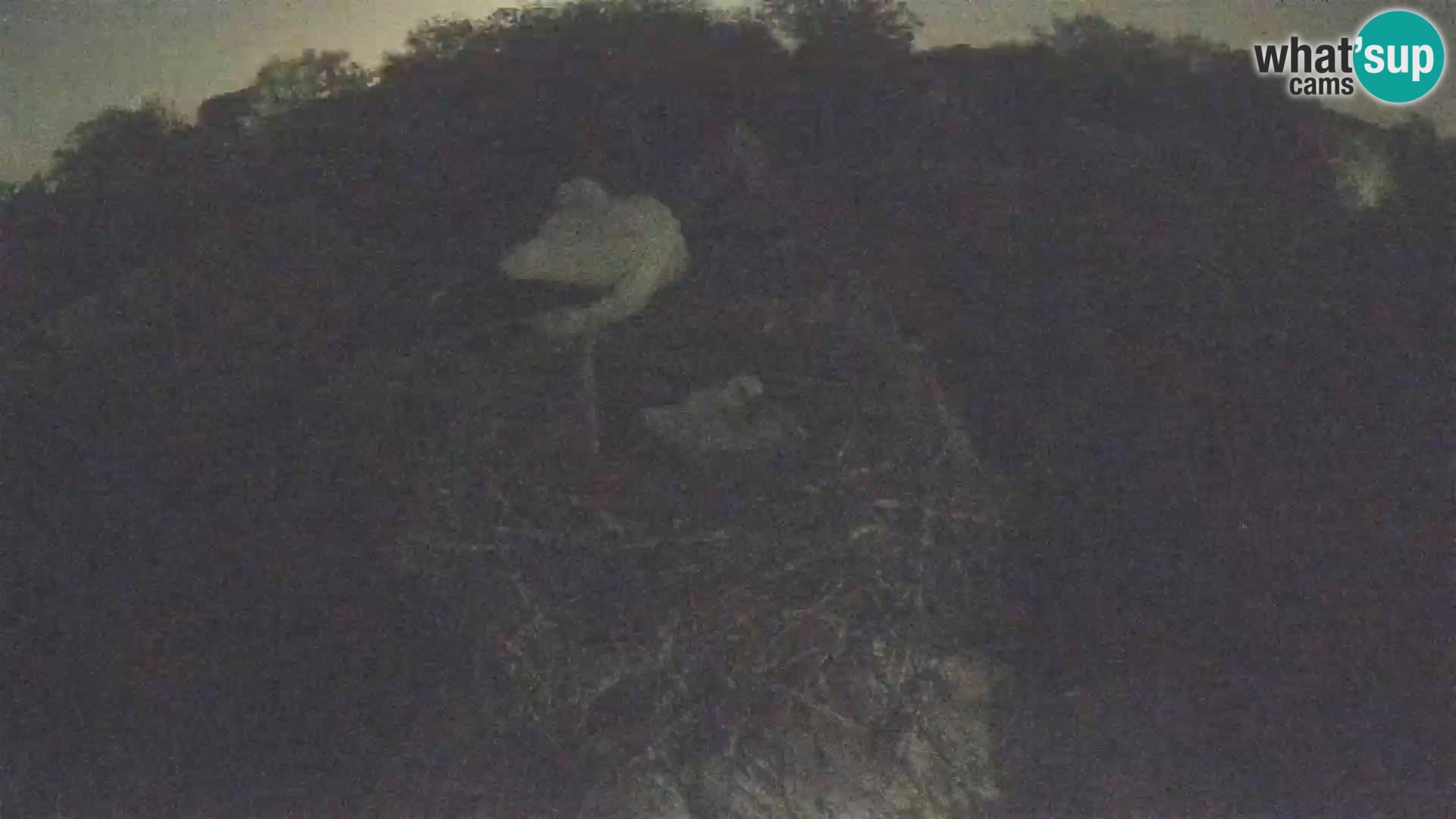 Pueblo europeo de cigüeñas camera en vivo Parque Natural Lonjsko polje