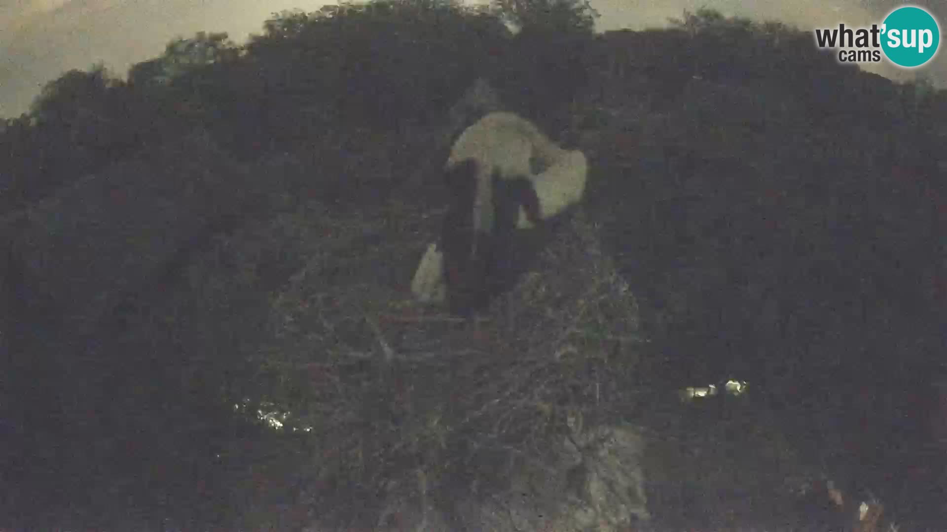 Village européen de cigognes webcam Parc naturel de Lonjsko polje