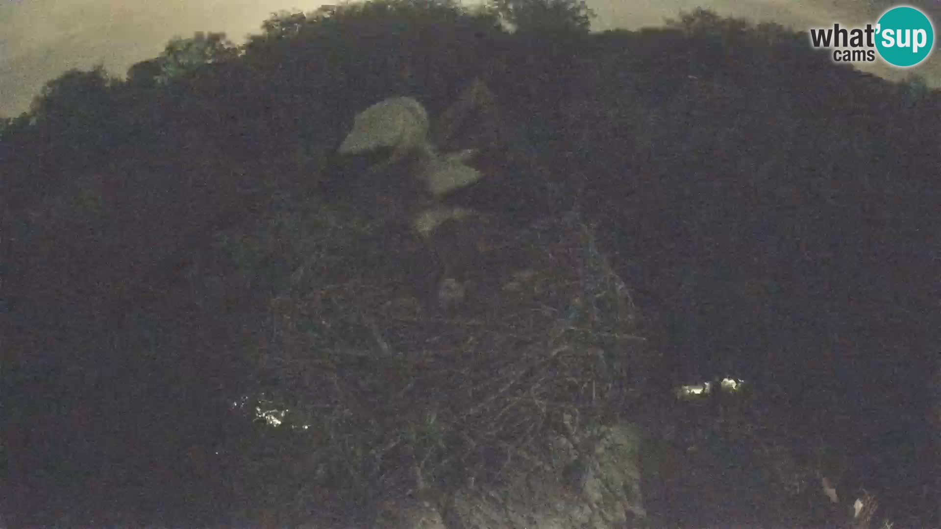 Villaggio delle cicogne europee webcam Parco naturale di Lonjsko polje