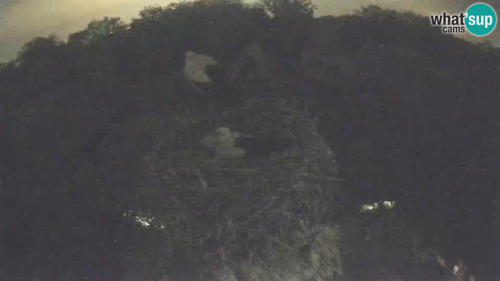 Villaggio delle cicogne europee webcam Parco naturale di Lonjsko polje