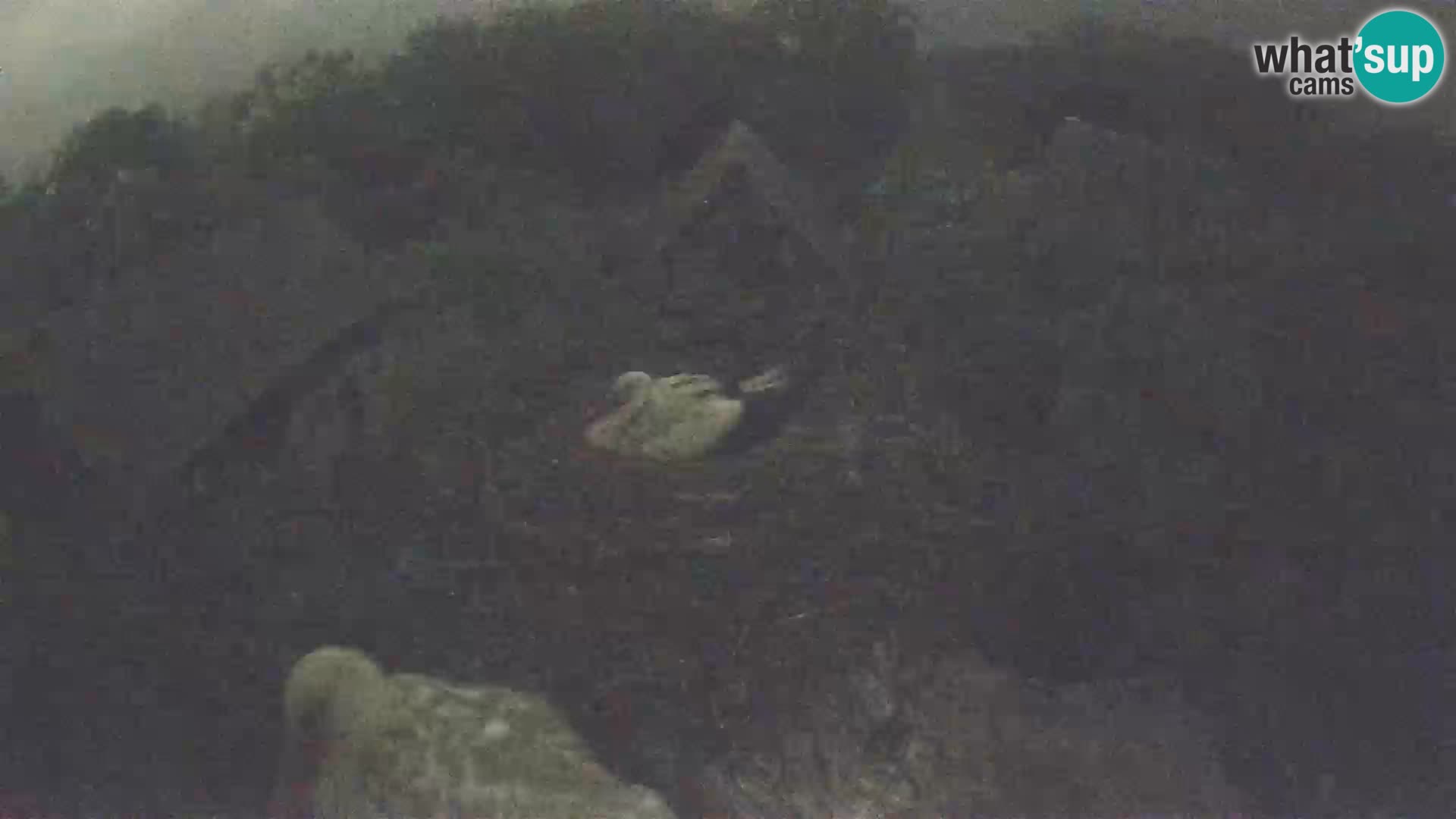 Villaggio delle cicogne europee webcam Parco naturale di Lonjsko polje
