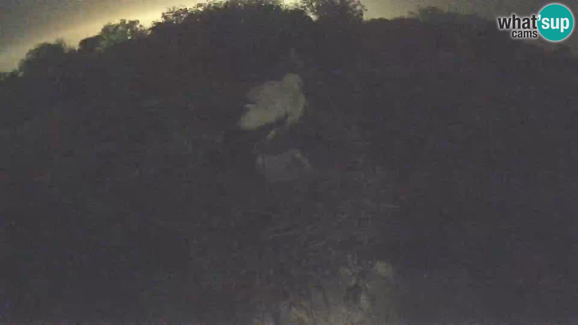 Live webcam European stork village – Lonjsko polje Nature Park