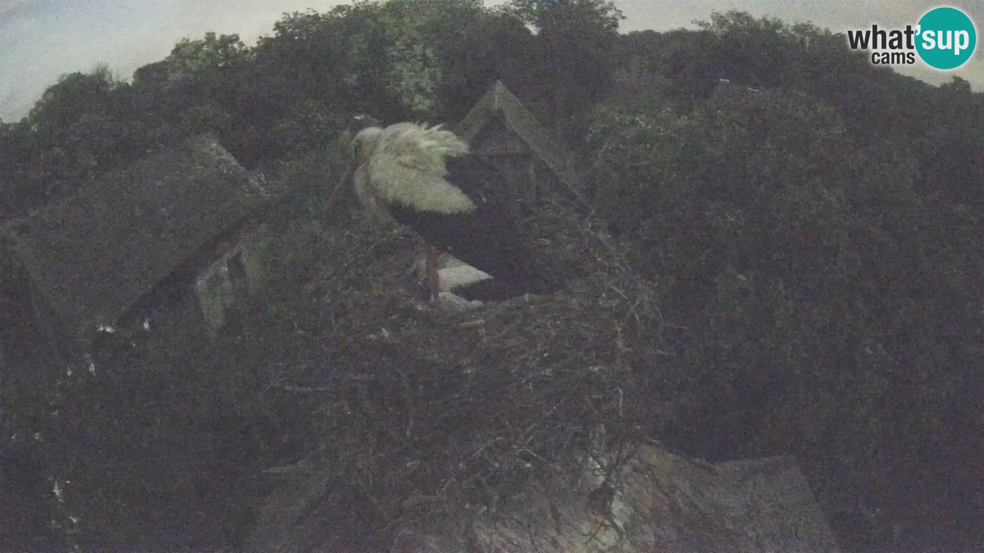 U živo Europsko selo roda – Park prirode Lonjsko polje