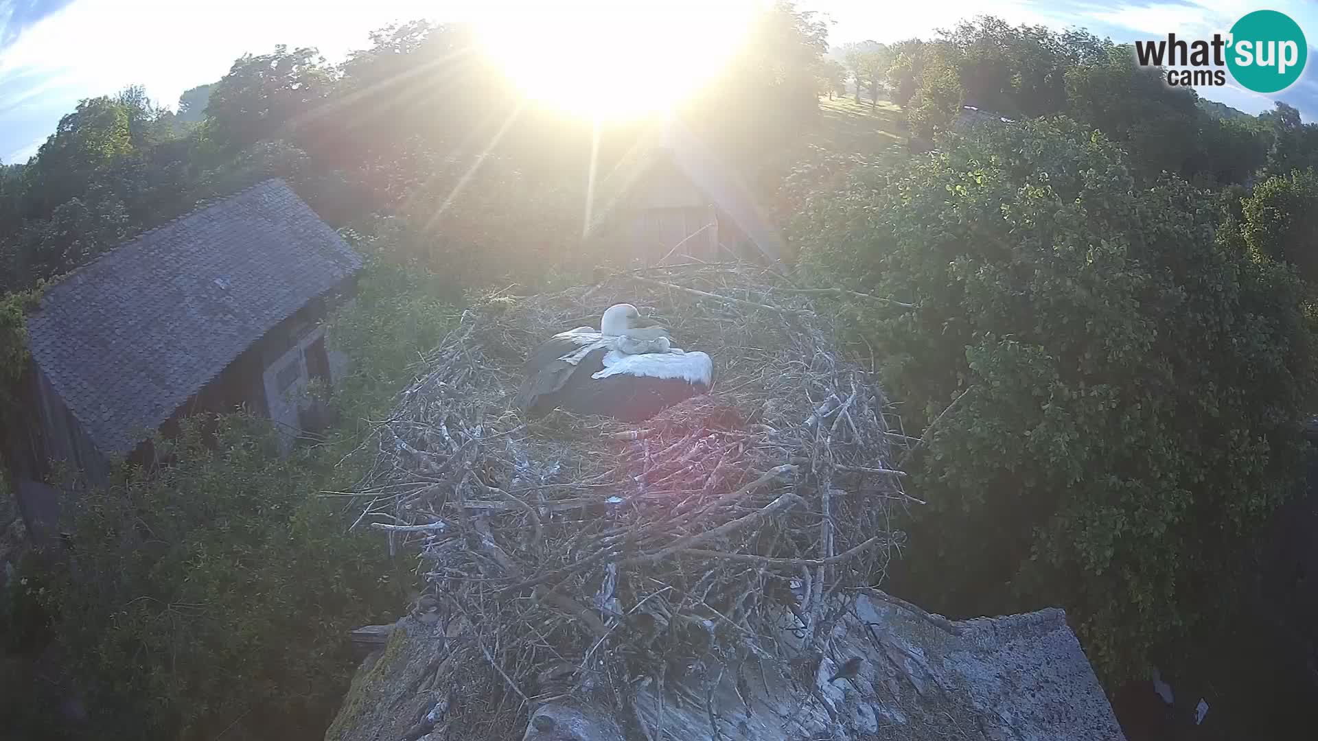 U živo Europsko selo roda – Park prirode Lonjsko polje
