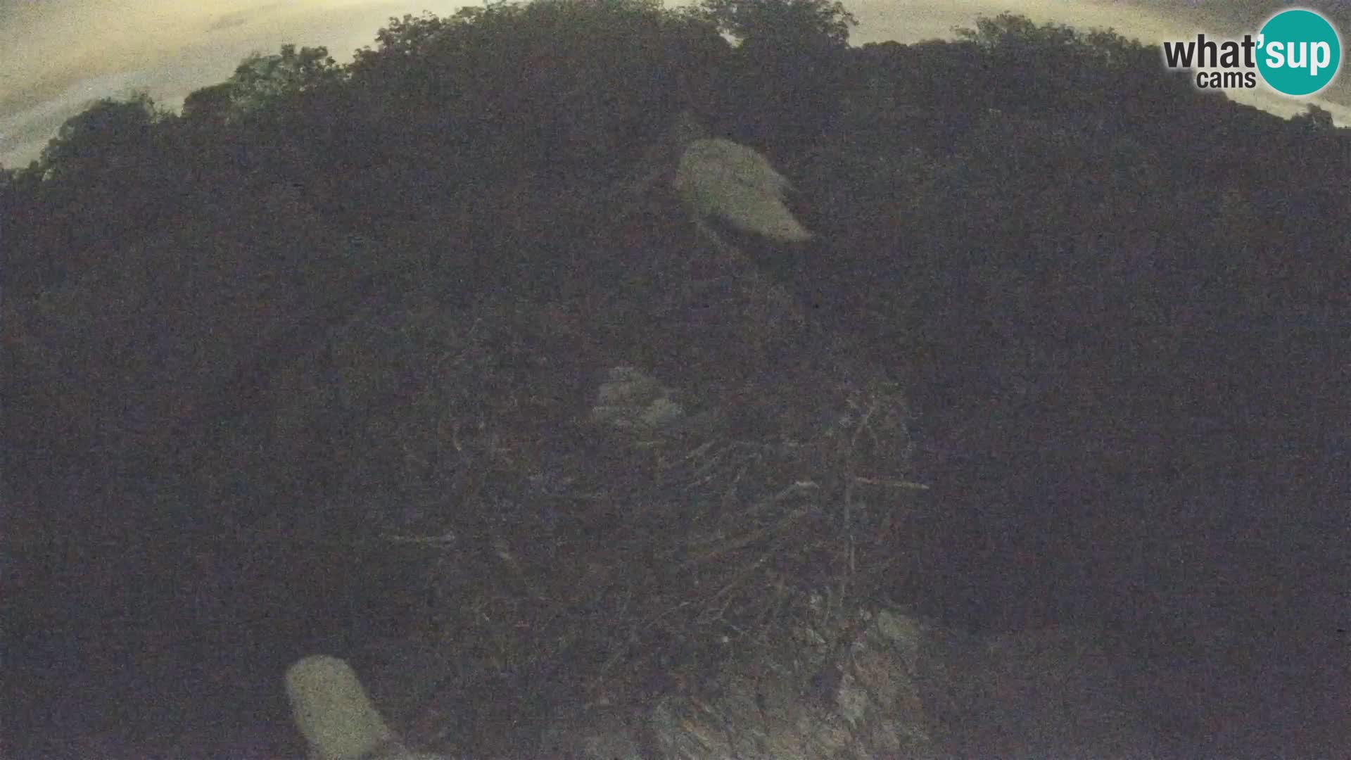 U živo Europsko selo roda – Park prirode Lonjsko polje